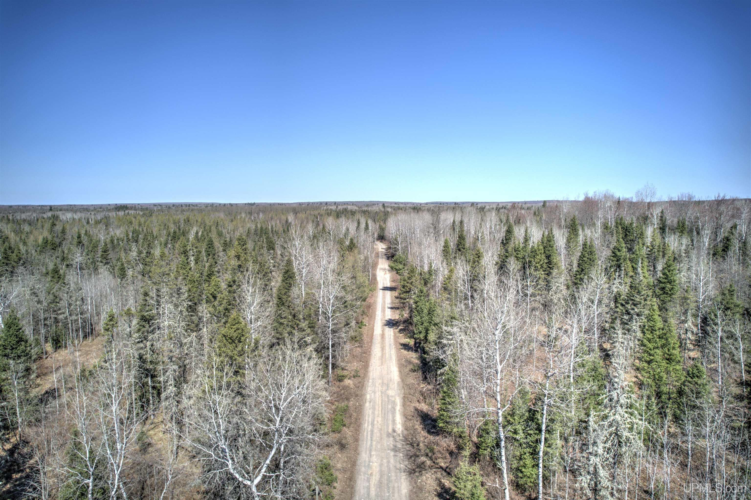 MLS 50168997 Large photo number 20 