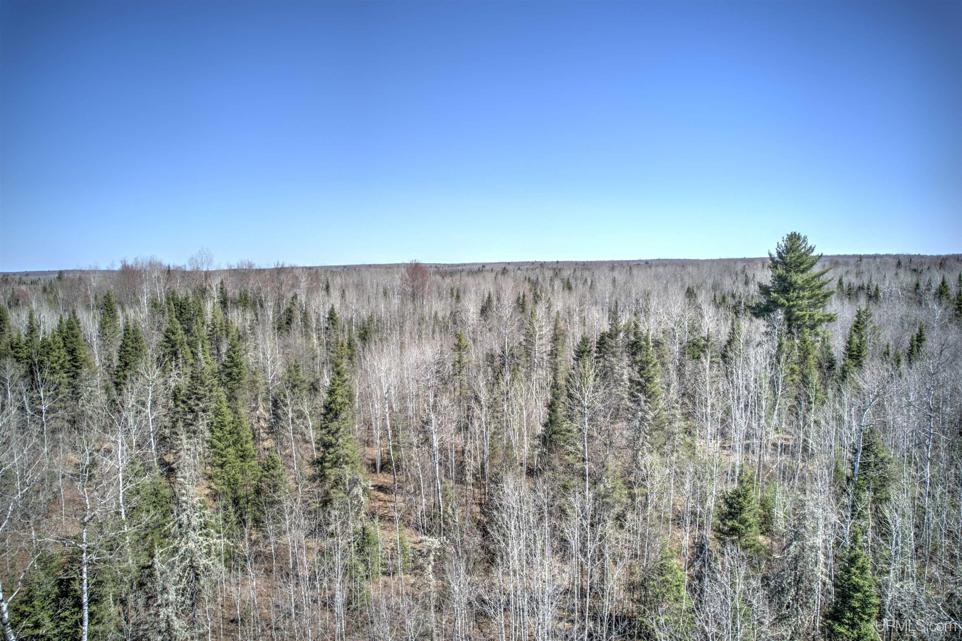 MLS 50168997 Large photo number 21 