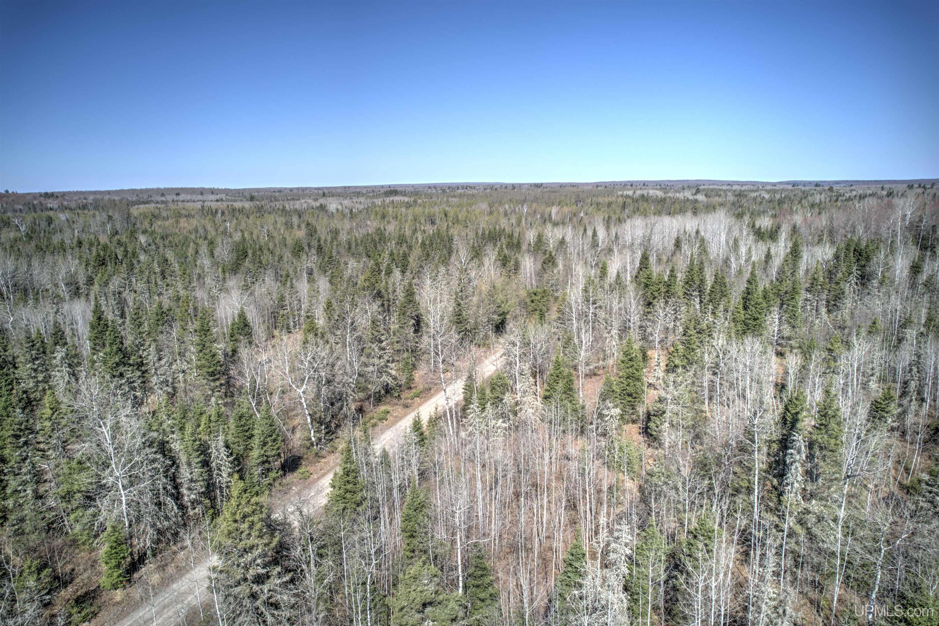 MLS 50168997 Large photo number 24 