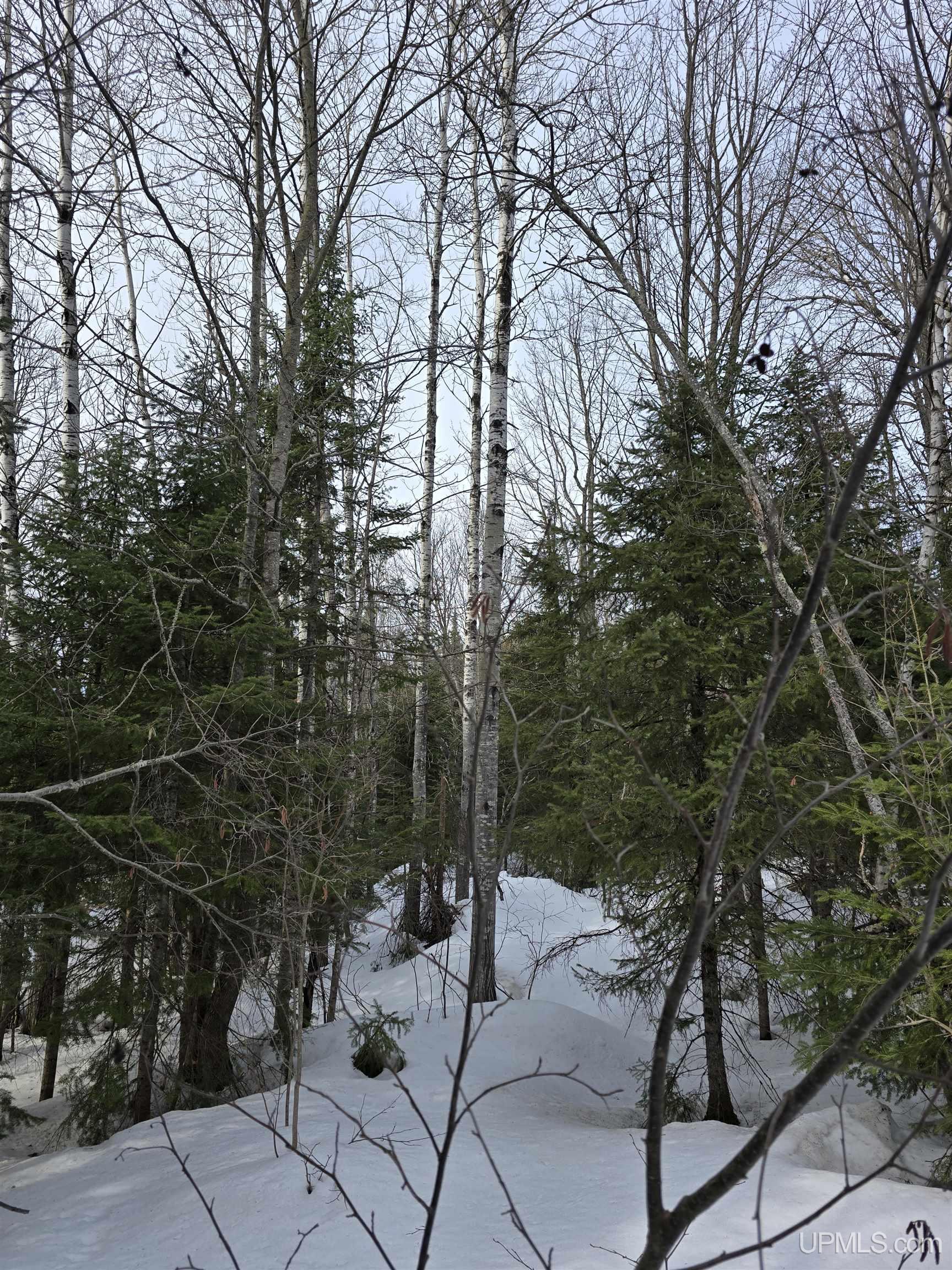 MLS 50170546 Large photo number 11 
