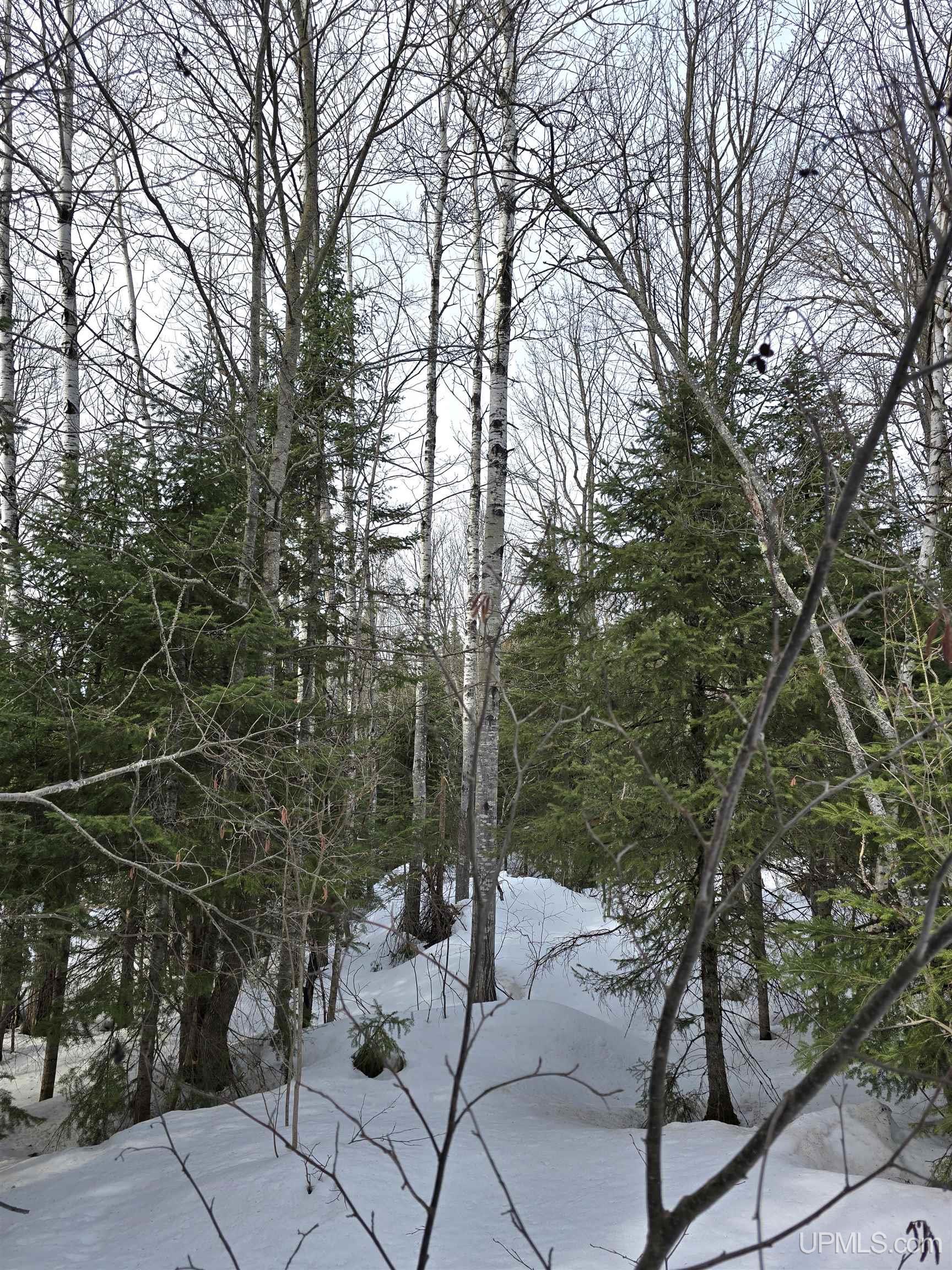 MLS 50170546 Large photo number 12 