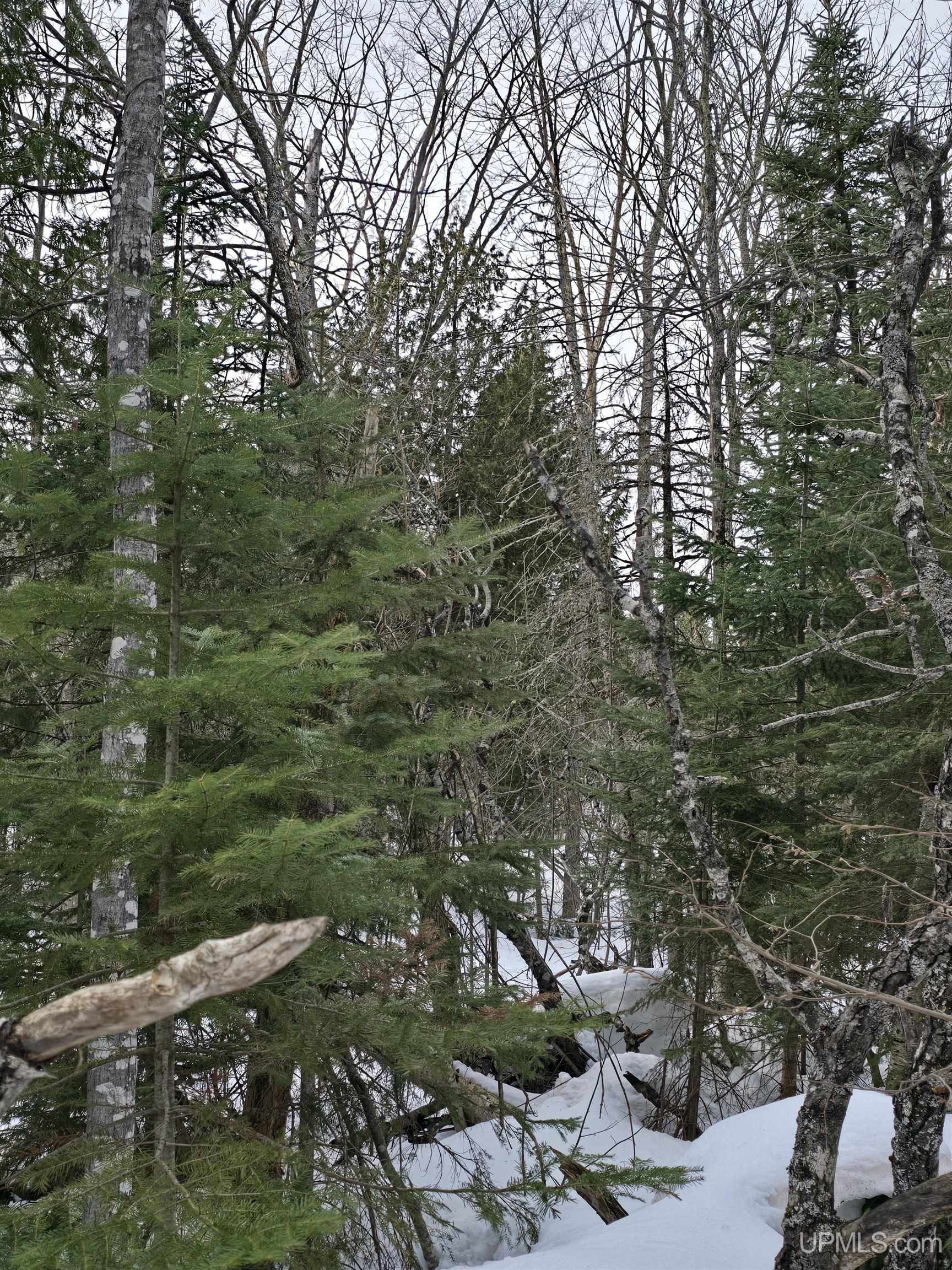 MLS 50170546 Large photo number 14 