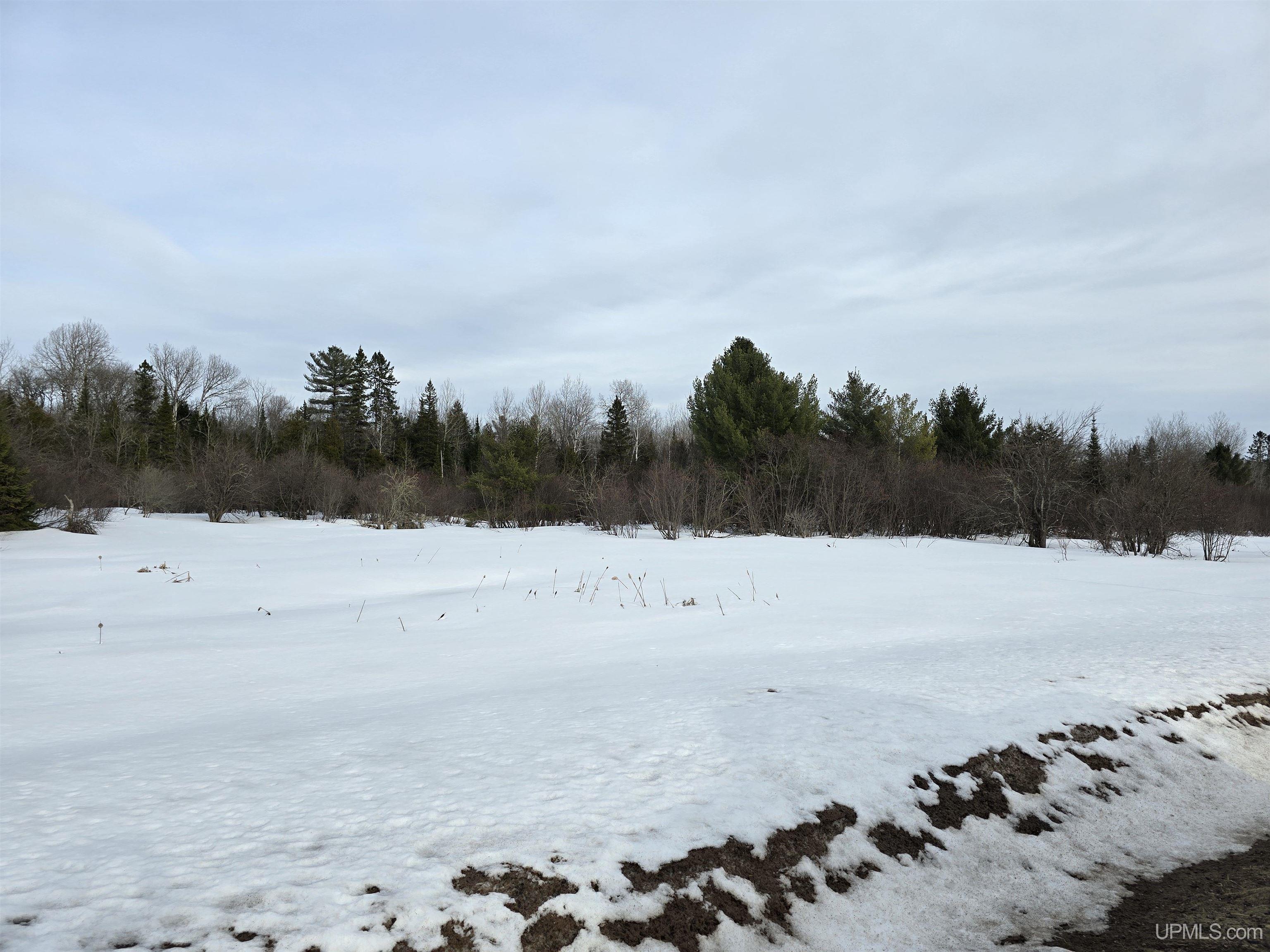 MLS 50170546 Large photo number 27 