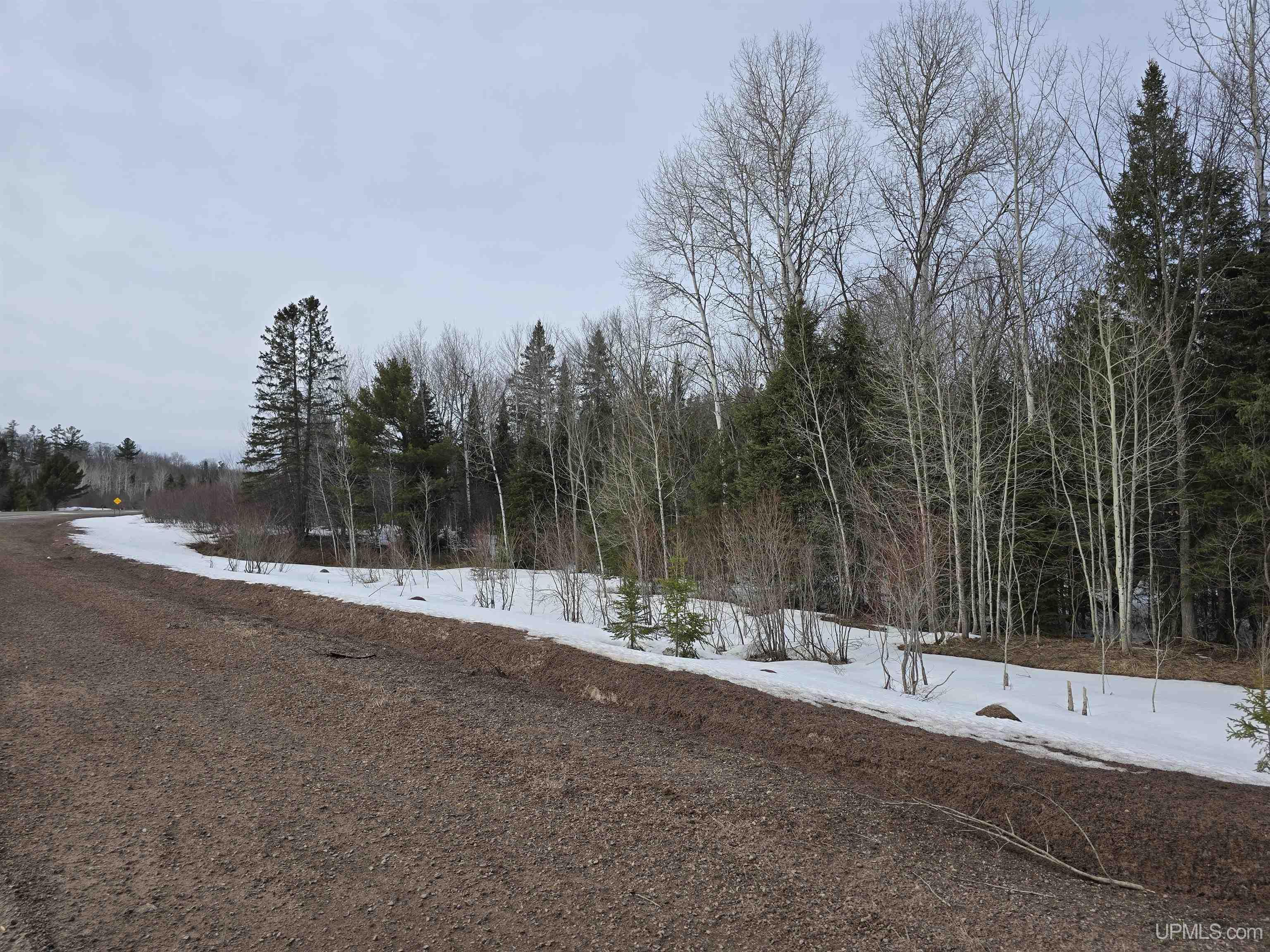 MLS 50170546 Large photo number 4 