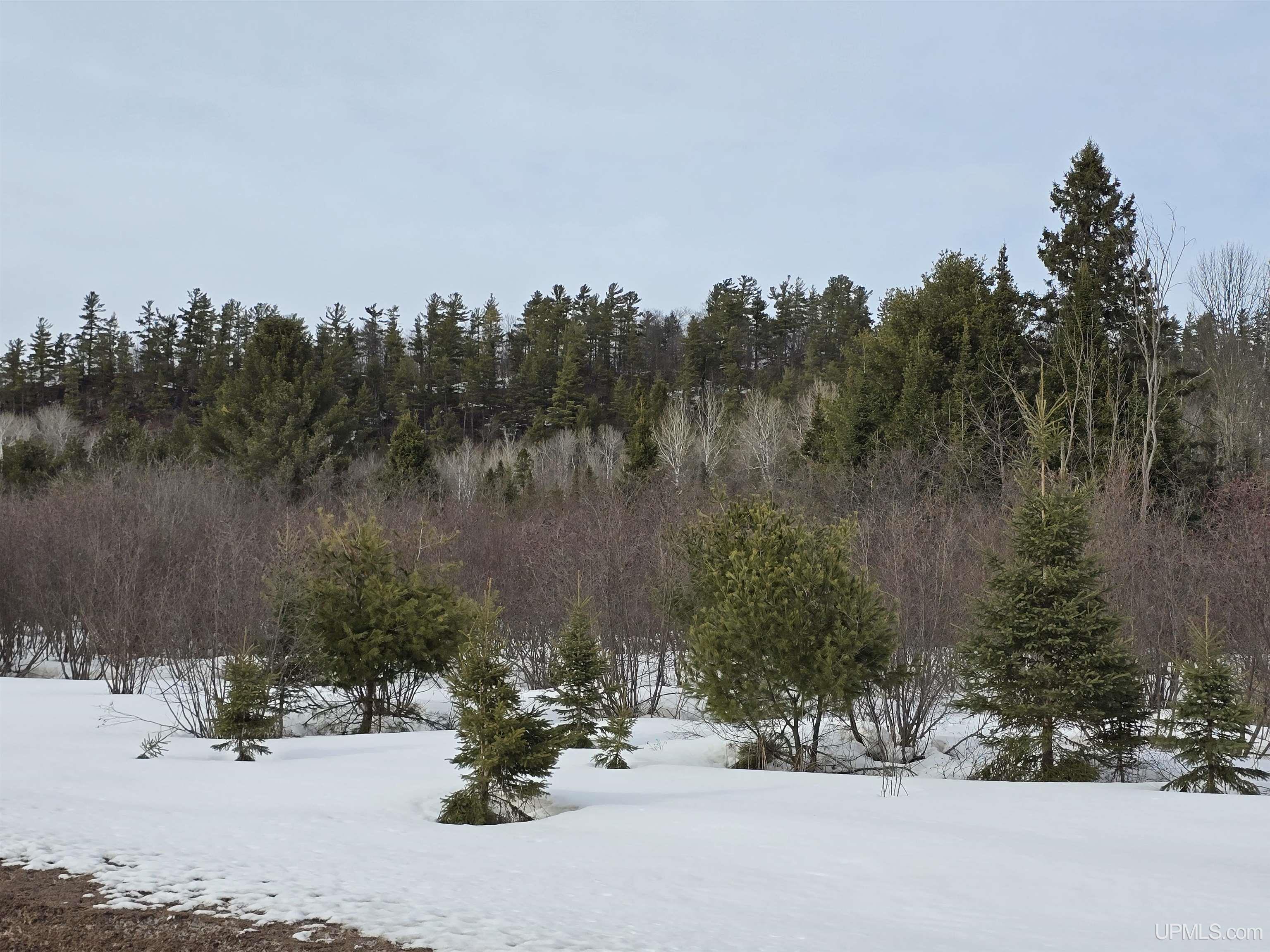 MLS 50170546 Large photo number 6 