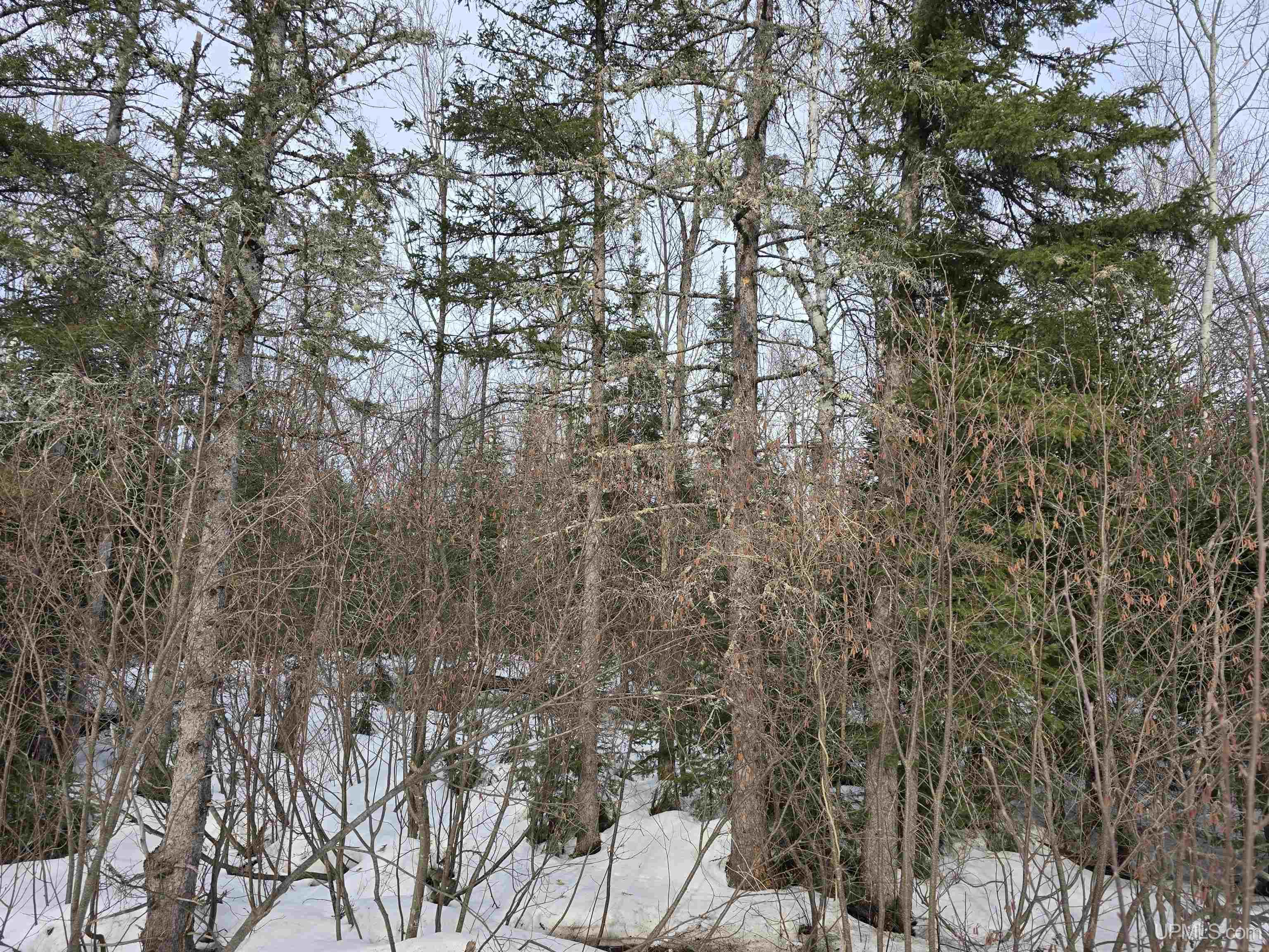 MLS 50170546 Large photo number 9 