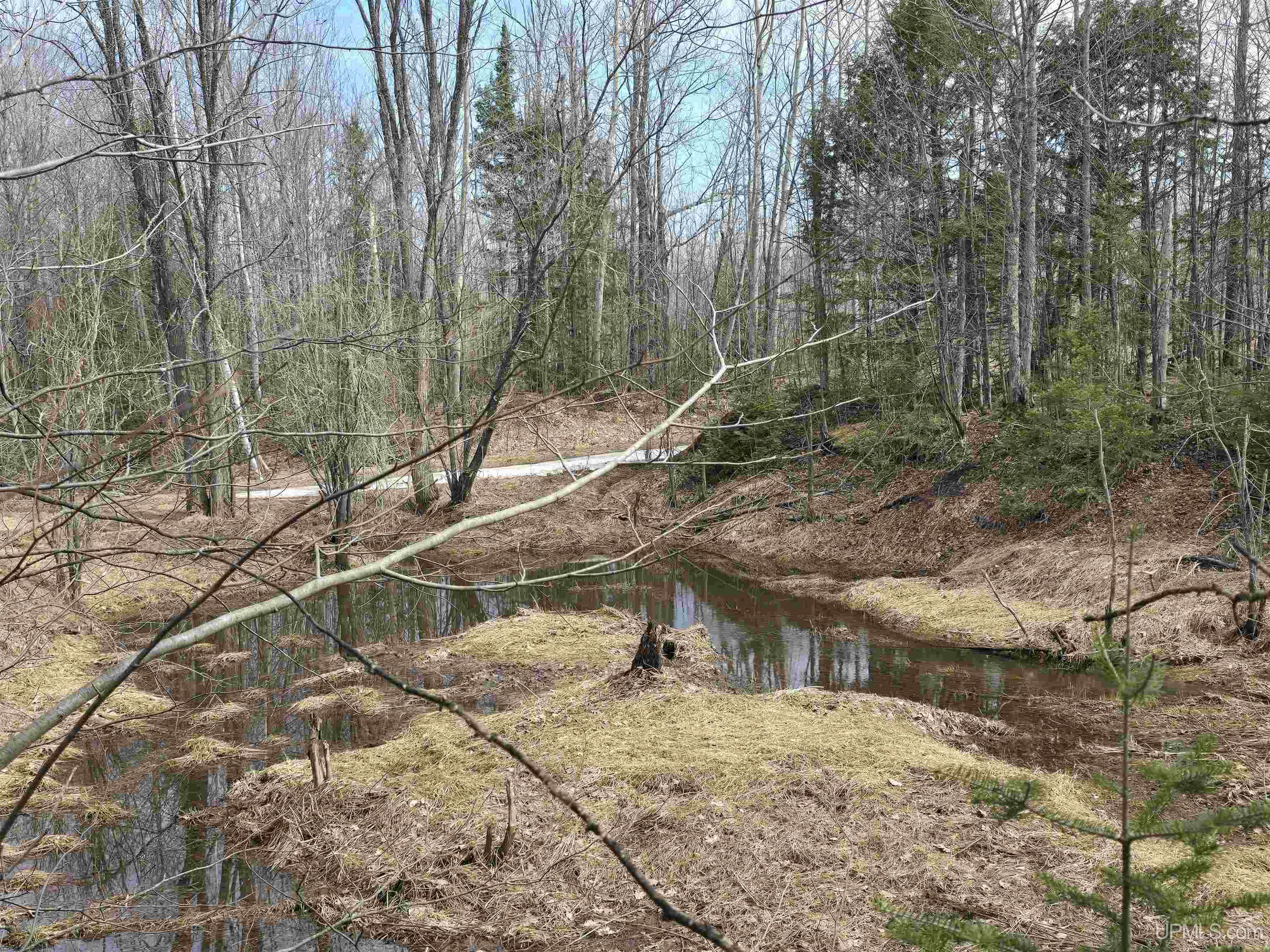 MLS 50170882 Large photo number 15 