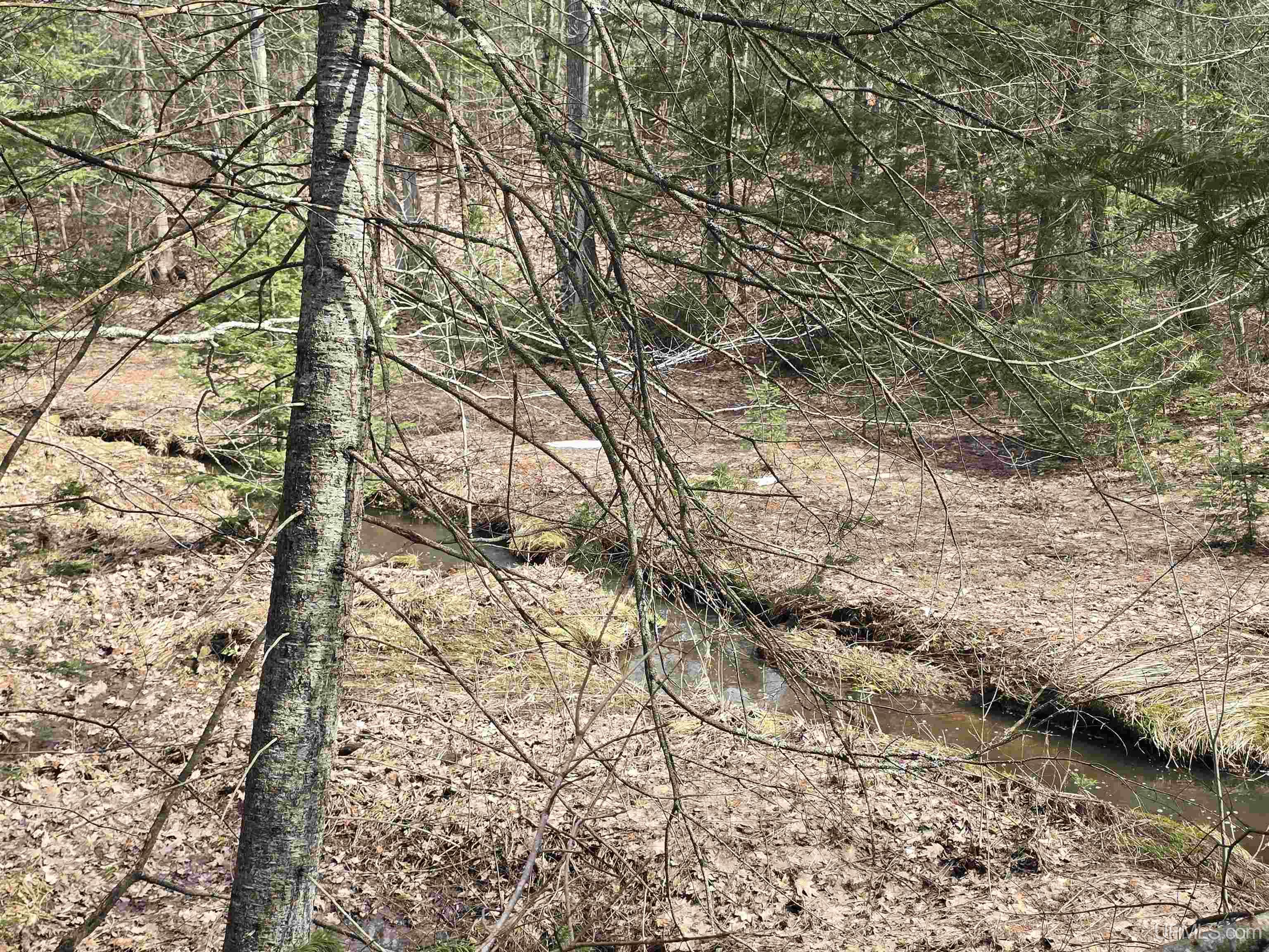 MLS 50170882 Large photo number 16 
