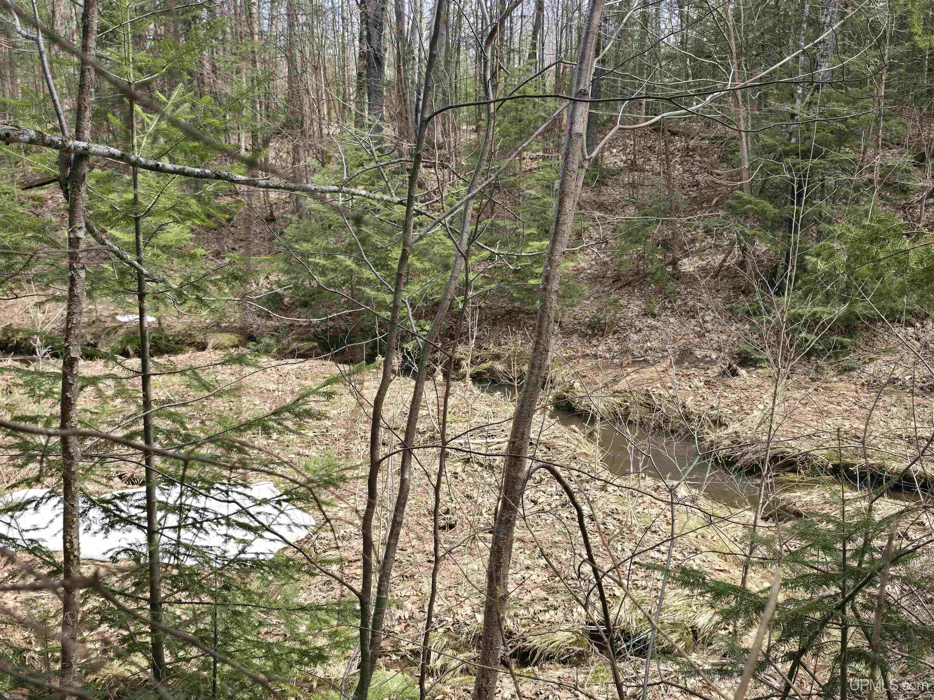MLS 50170882 Large photo number 17 