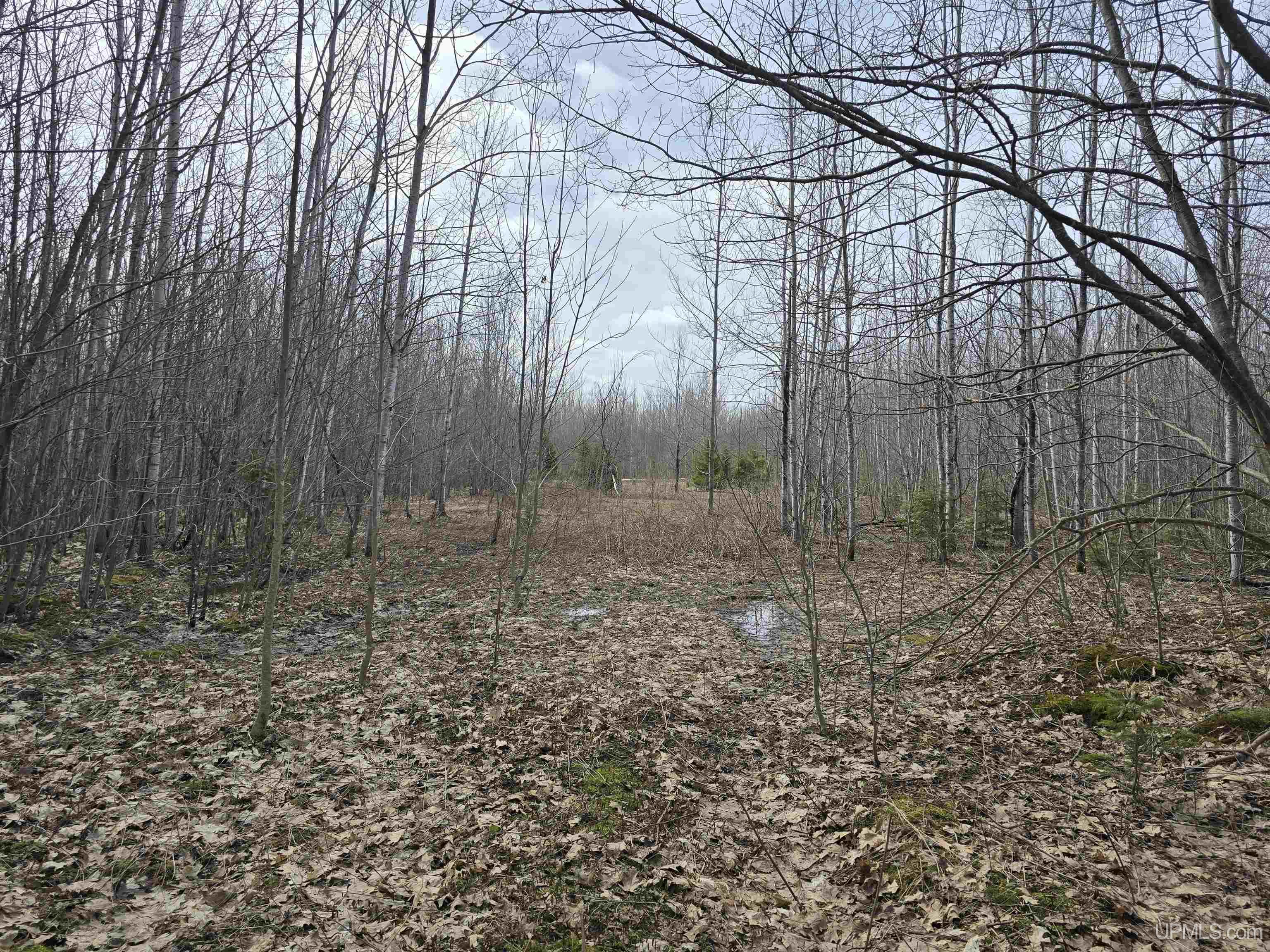 MLS 50170882 Large photo number 20 