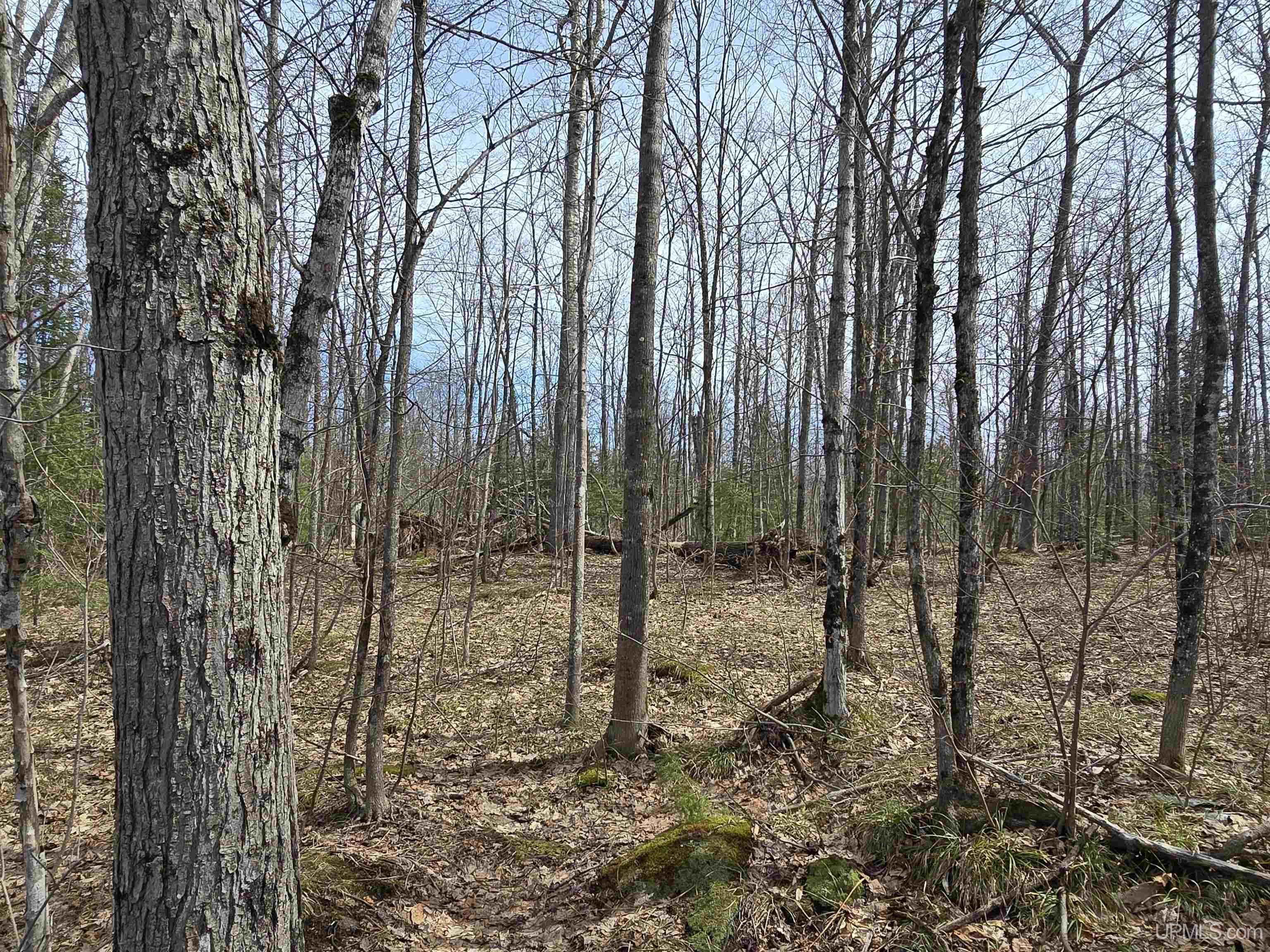 MLS 50170882 Large photo number 21 