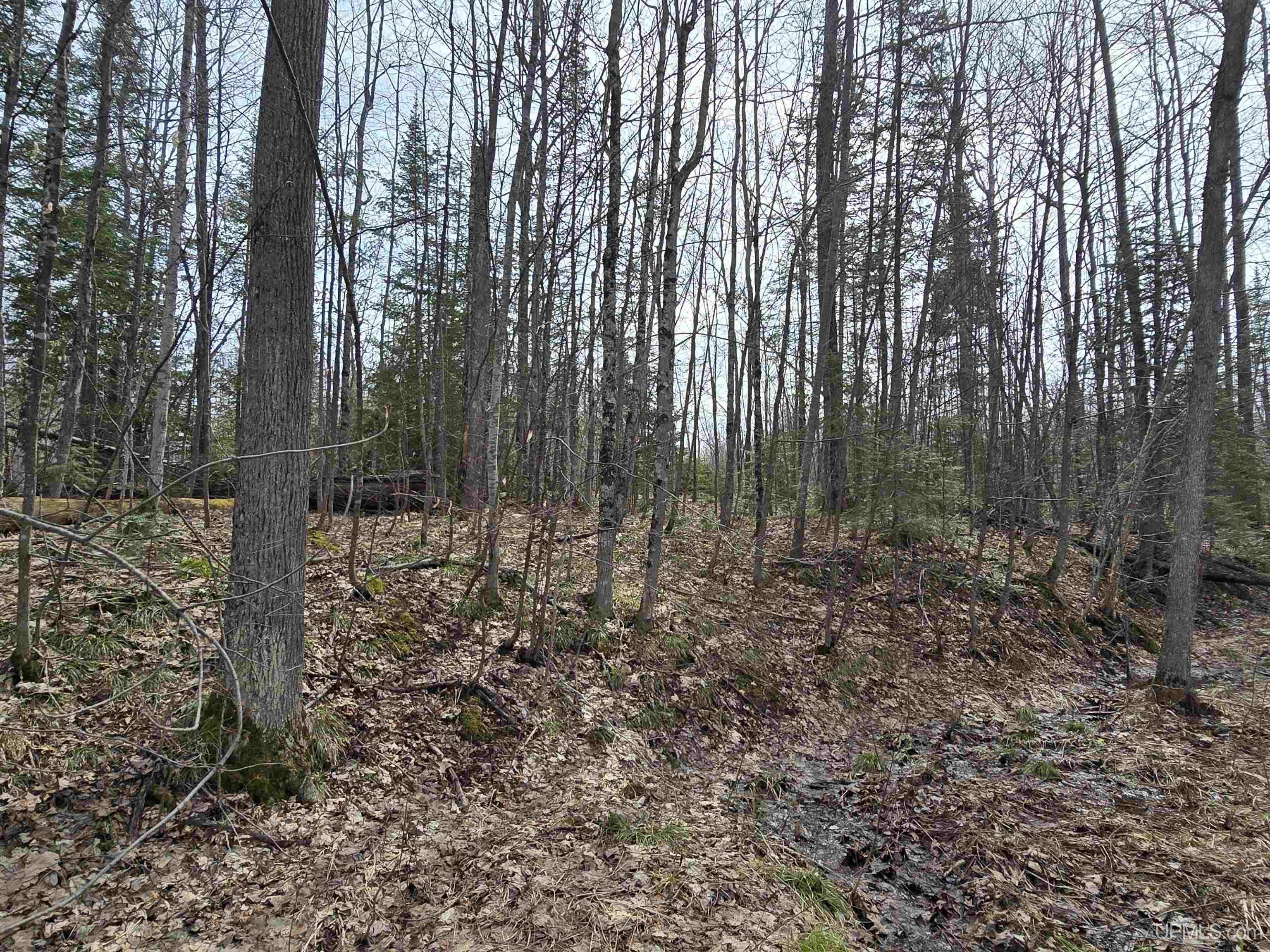 MLS 50170882 Large photo number 22 