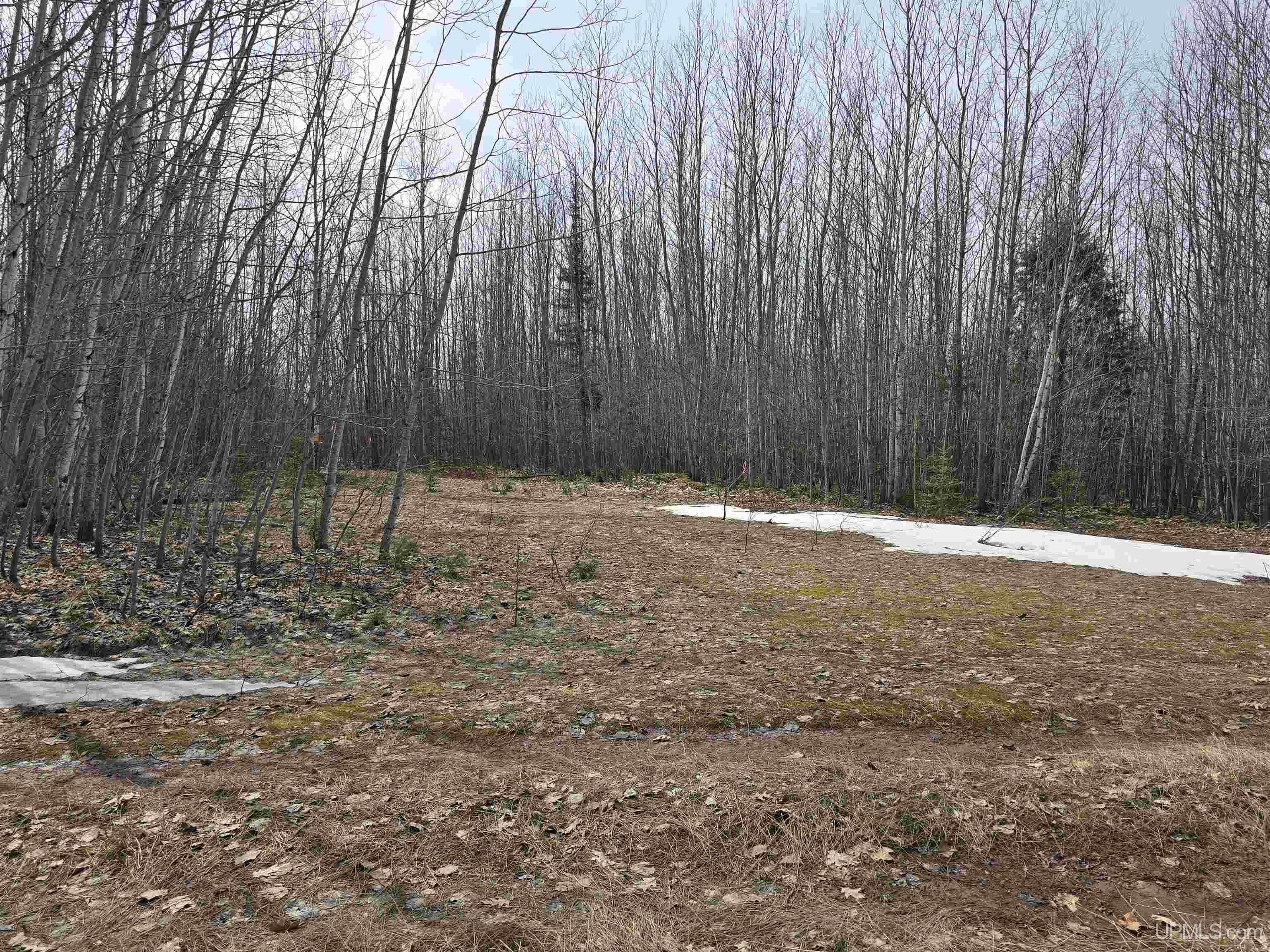 MLS 50170882 Large photo number 23 