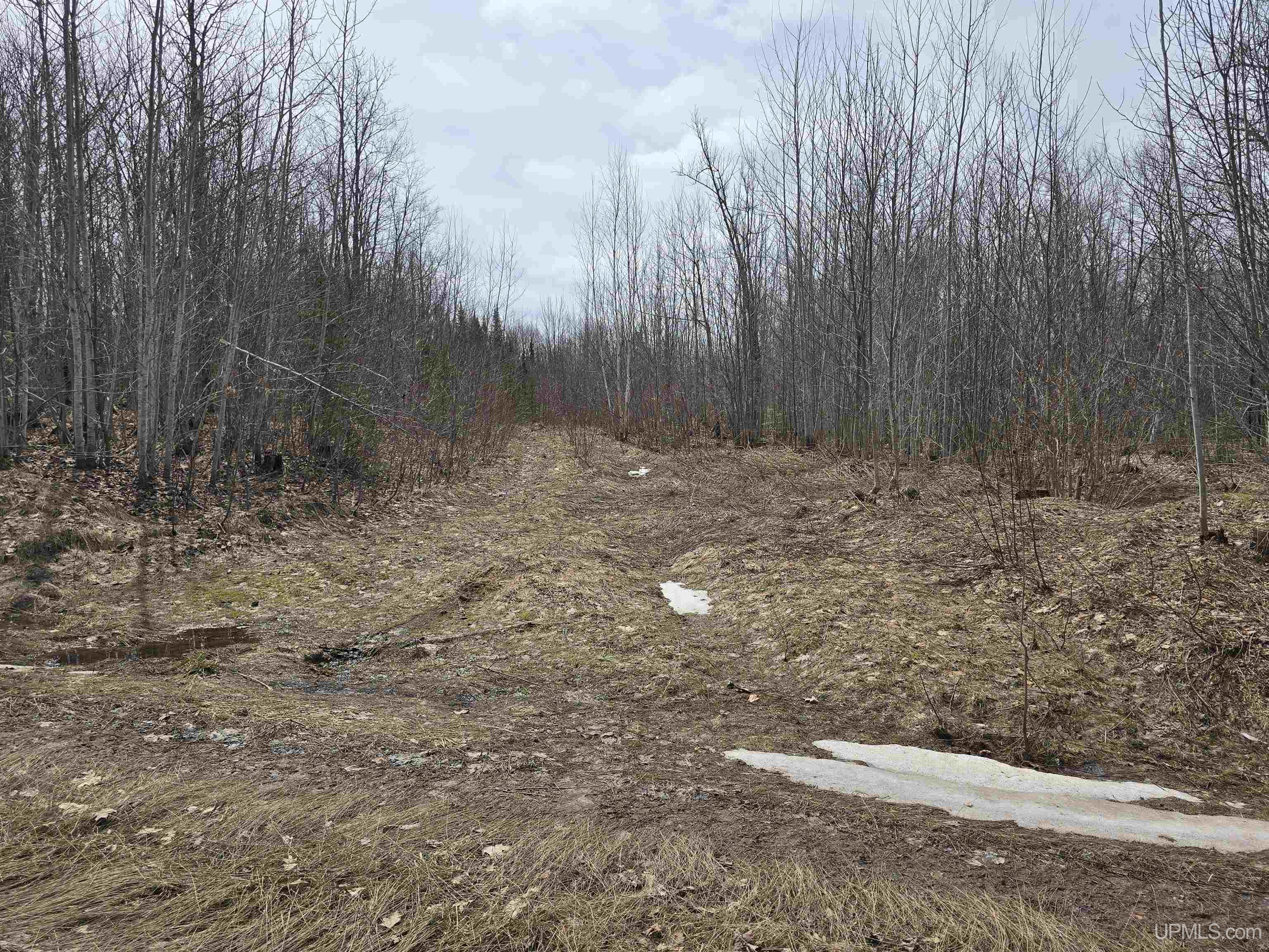 MLS 50170882 Large photo number 24 