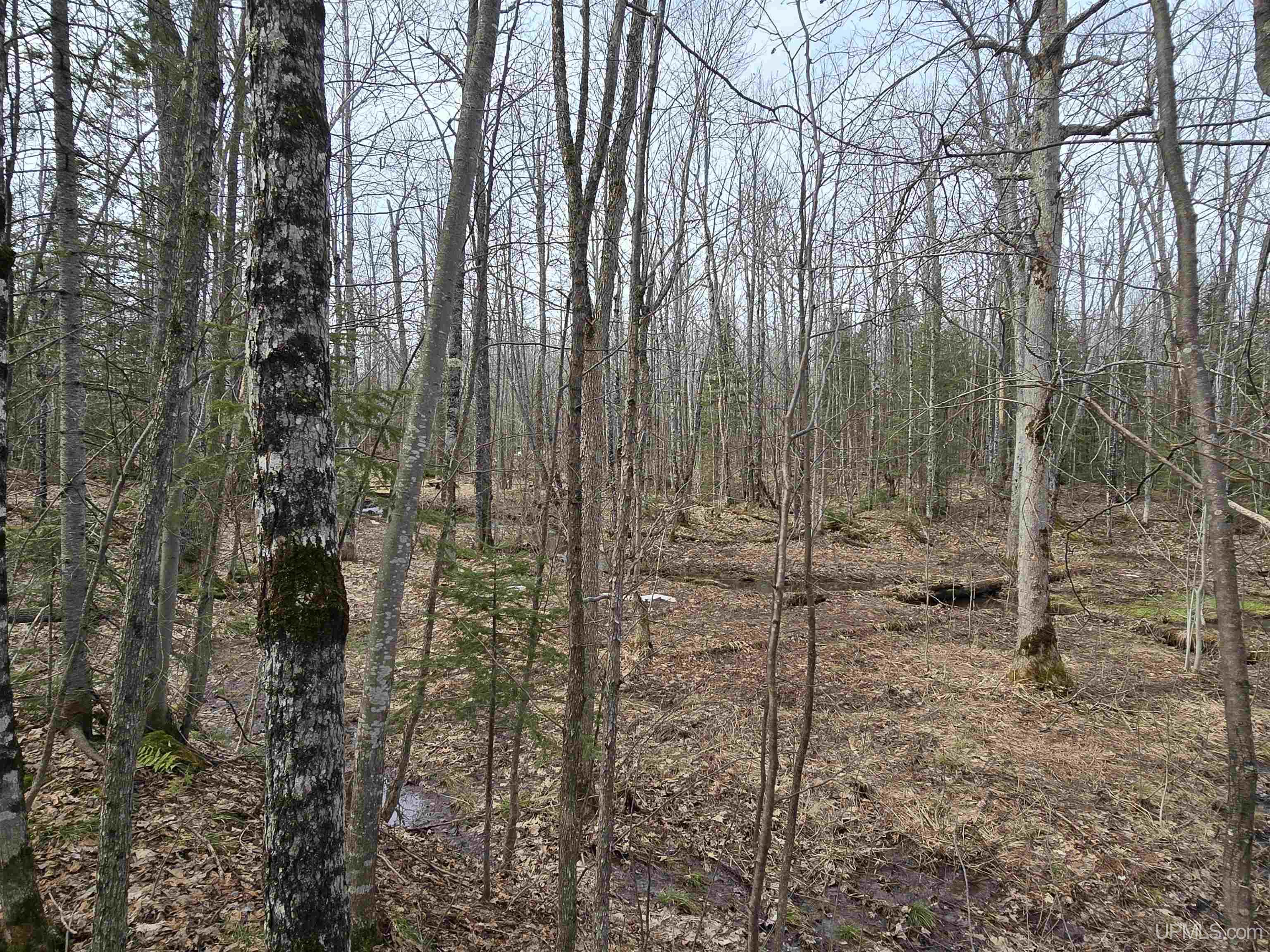 MLS 50170882 Large photo number 25 