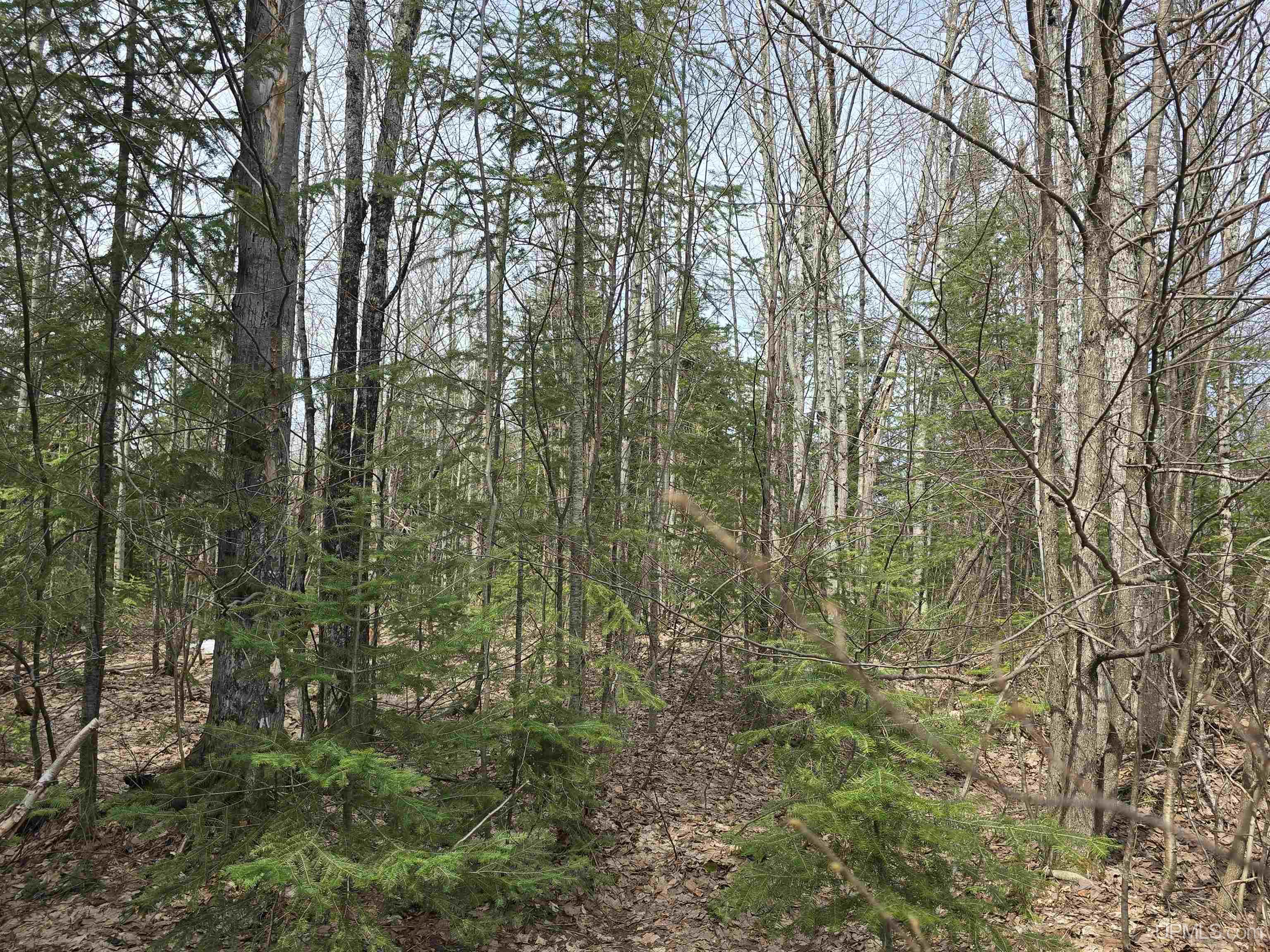 MLS 50170882 Large photo number 31 