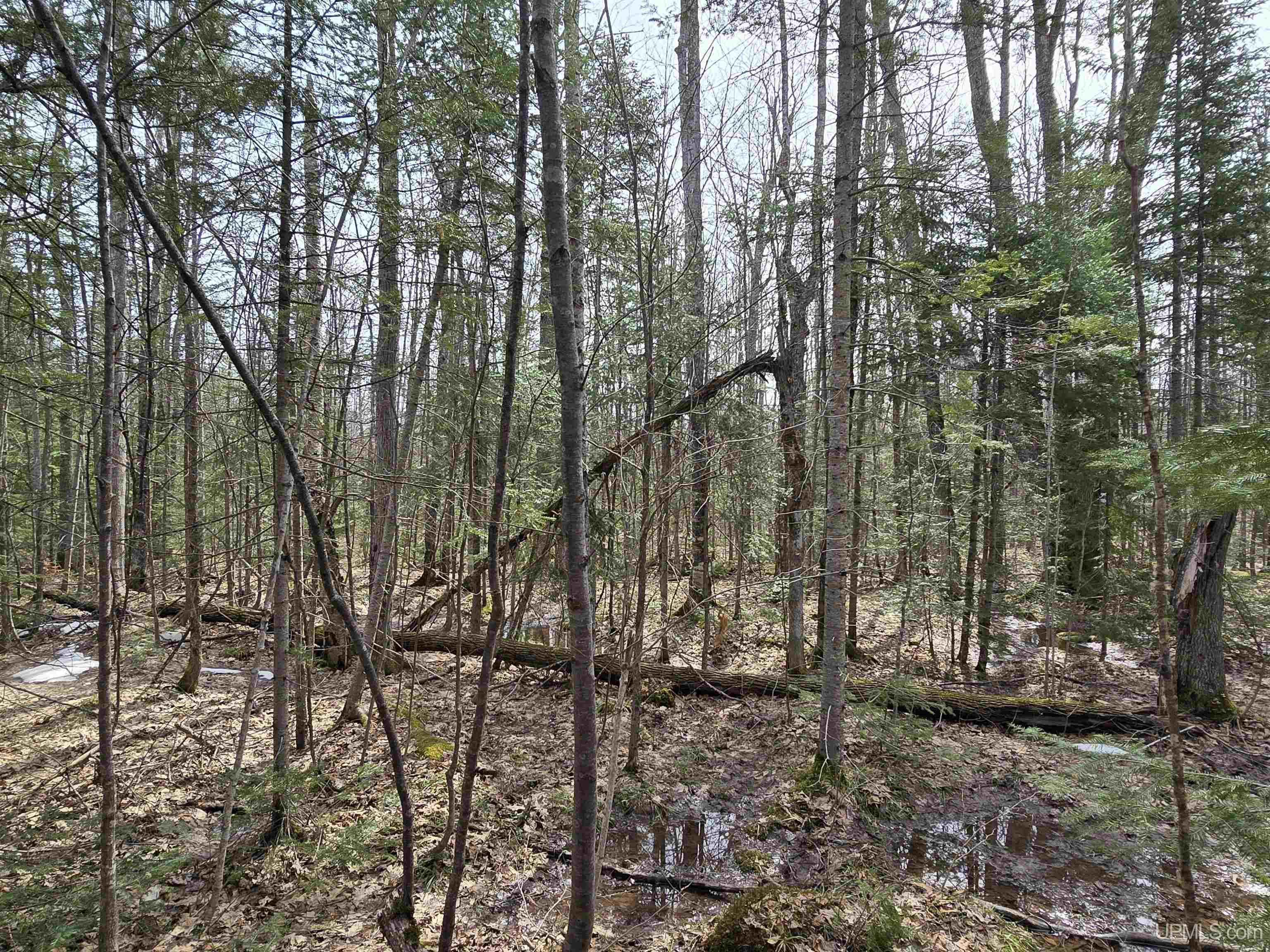 MLS 50170882 Large photo number 34 