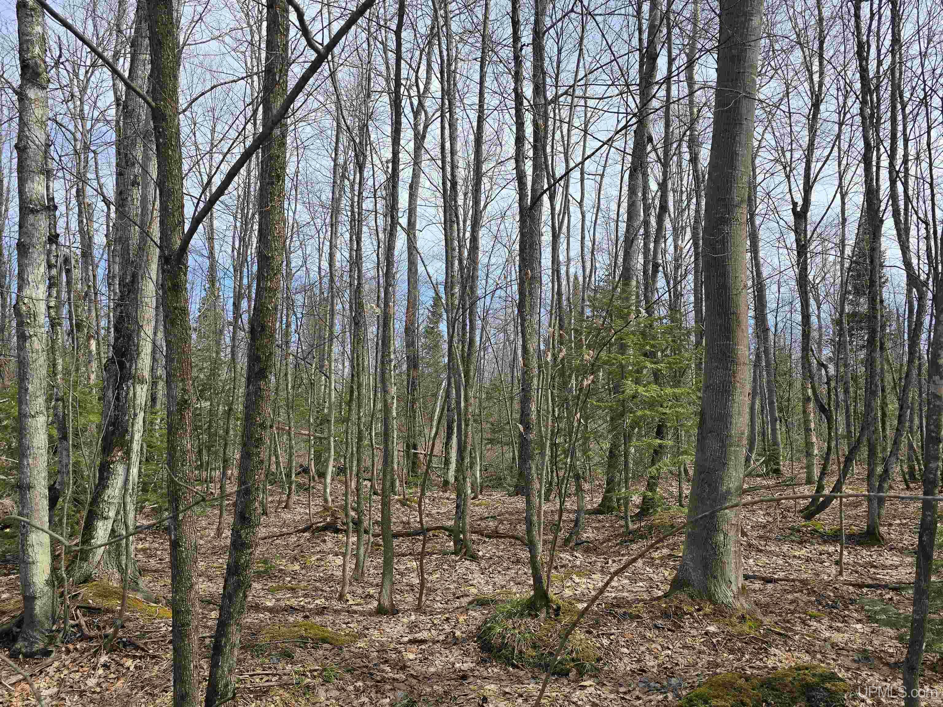 MLS 50170882 Large photo number 40 