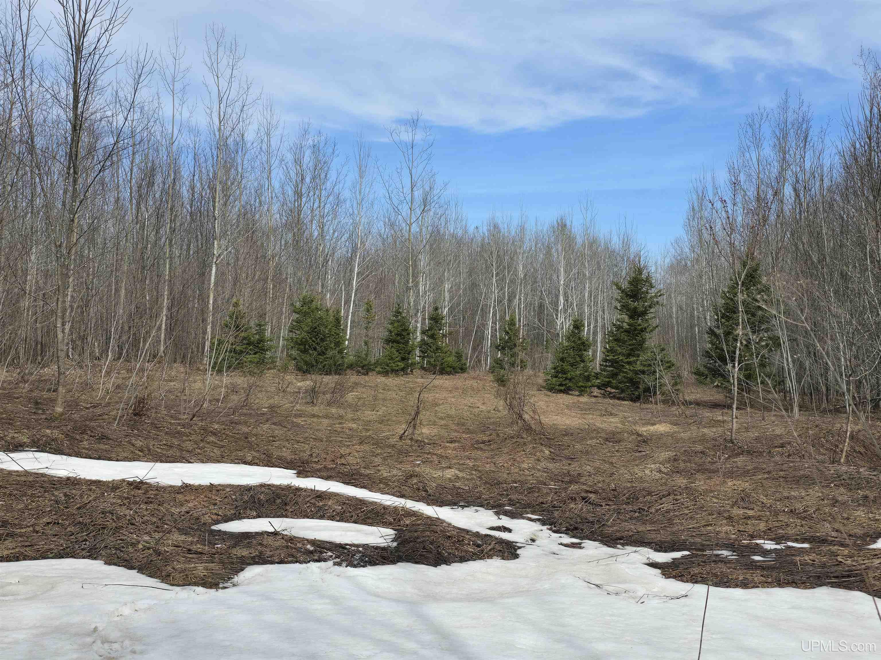 MLS 50170882 Large photo number 6 
