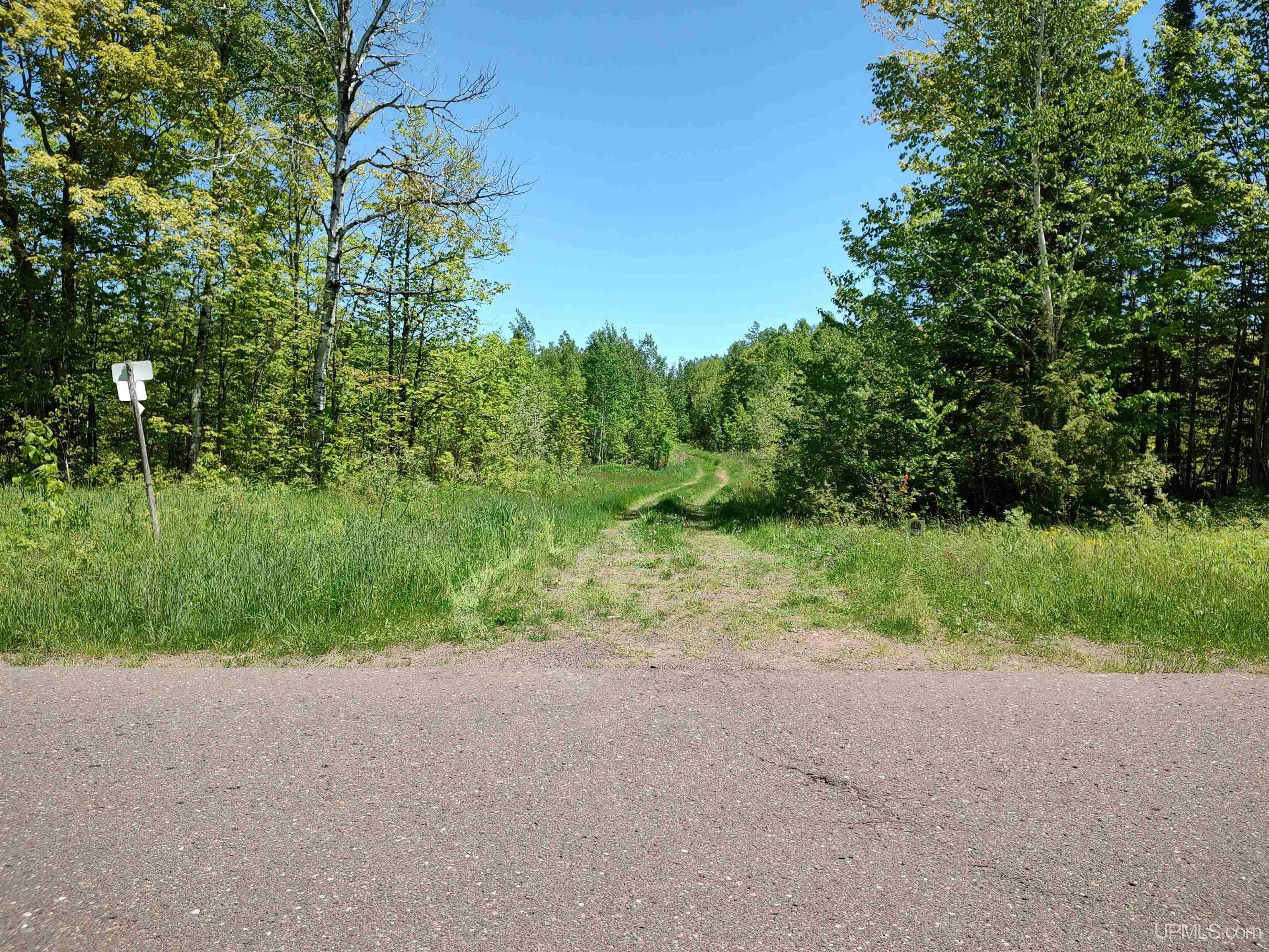 MLS 50170882 Large photo number 7 