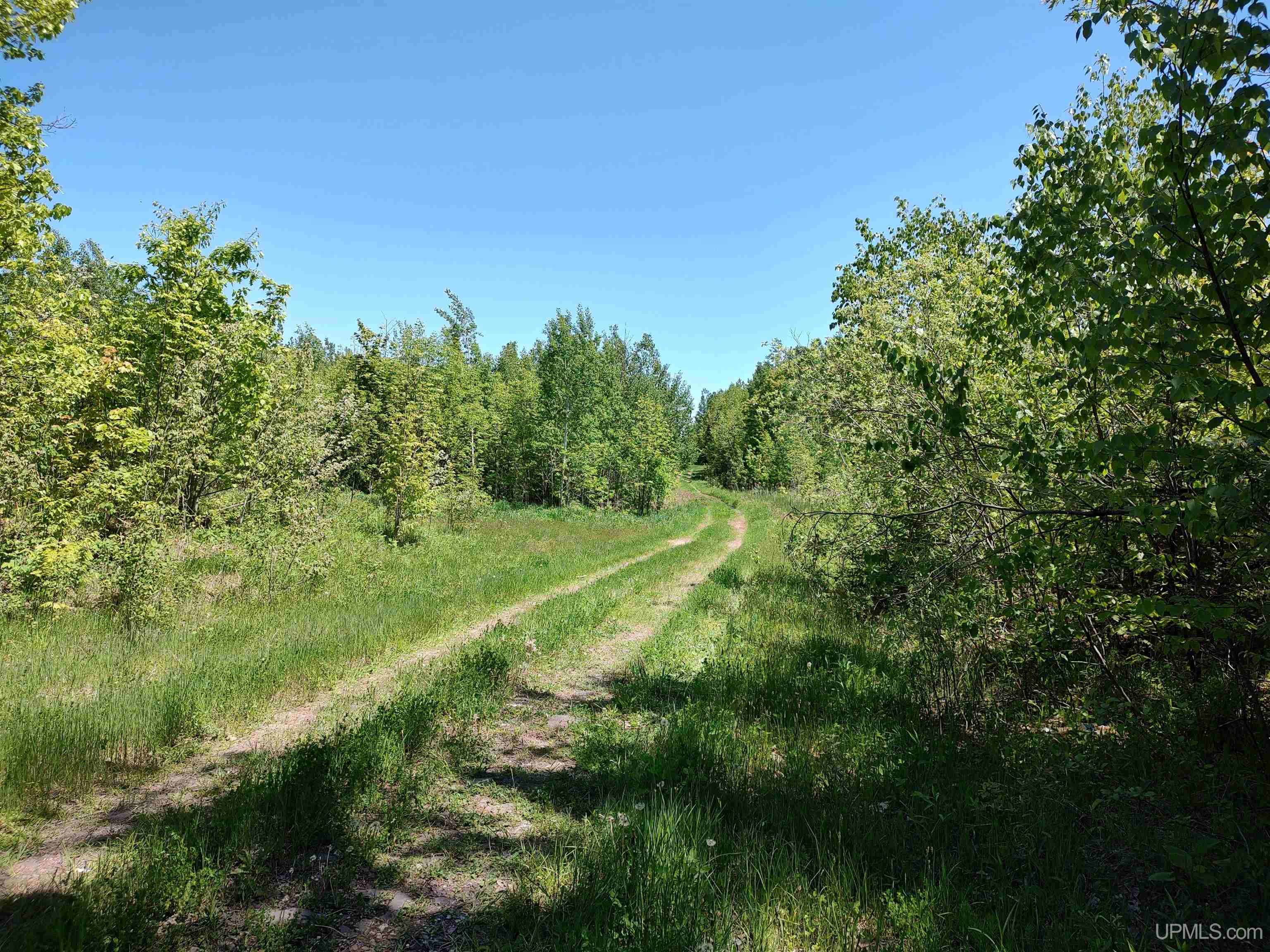 MLS 50170882 Large photo number 8 