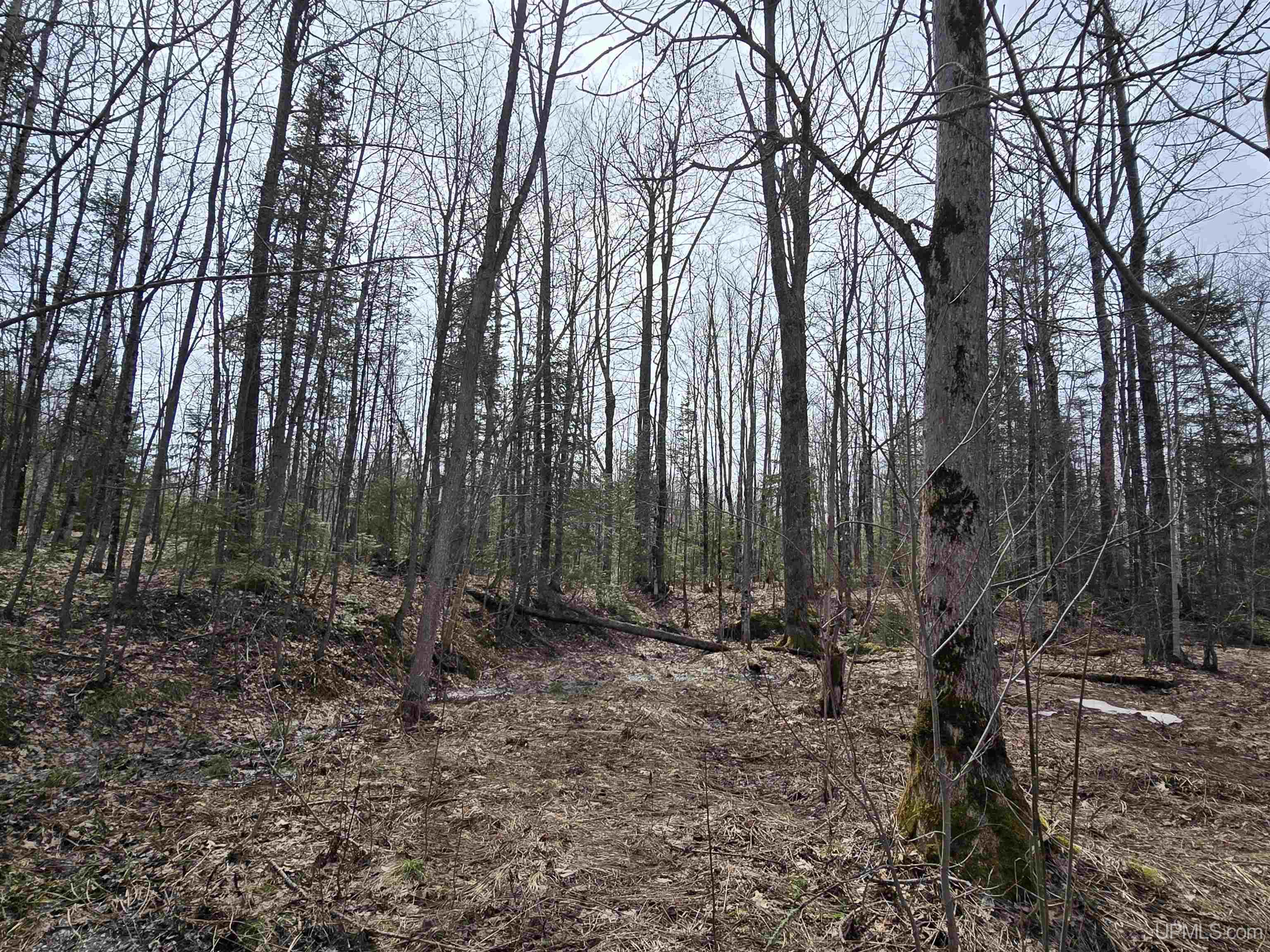 MLS 50170882 Large photo number 9 