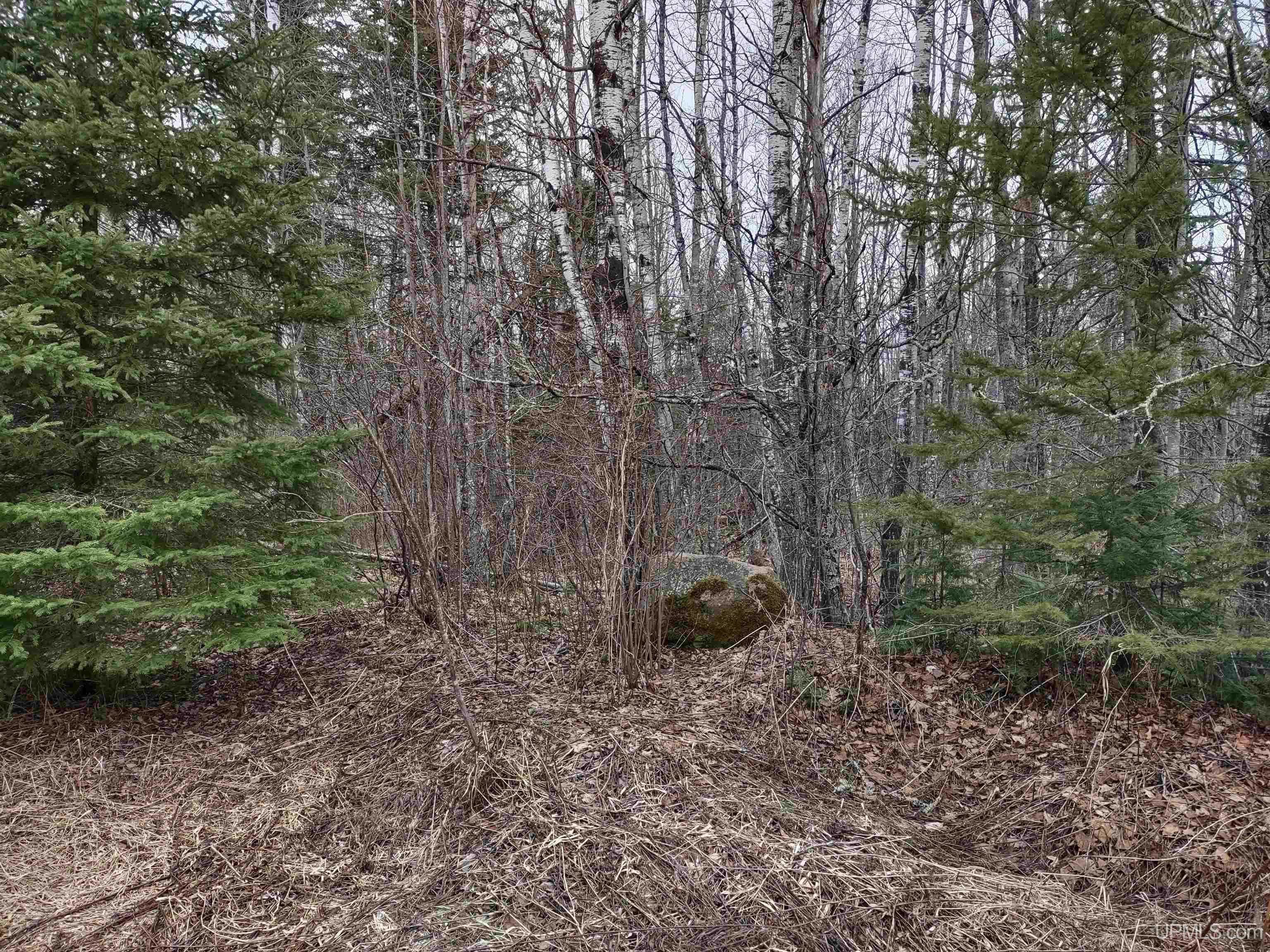 MLS 50172299 Large photo number 3 
