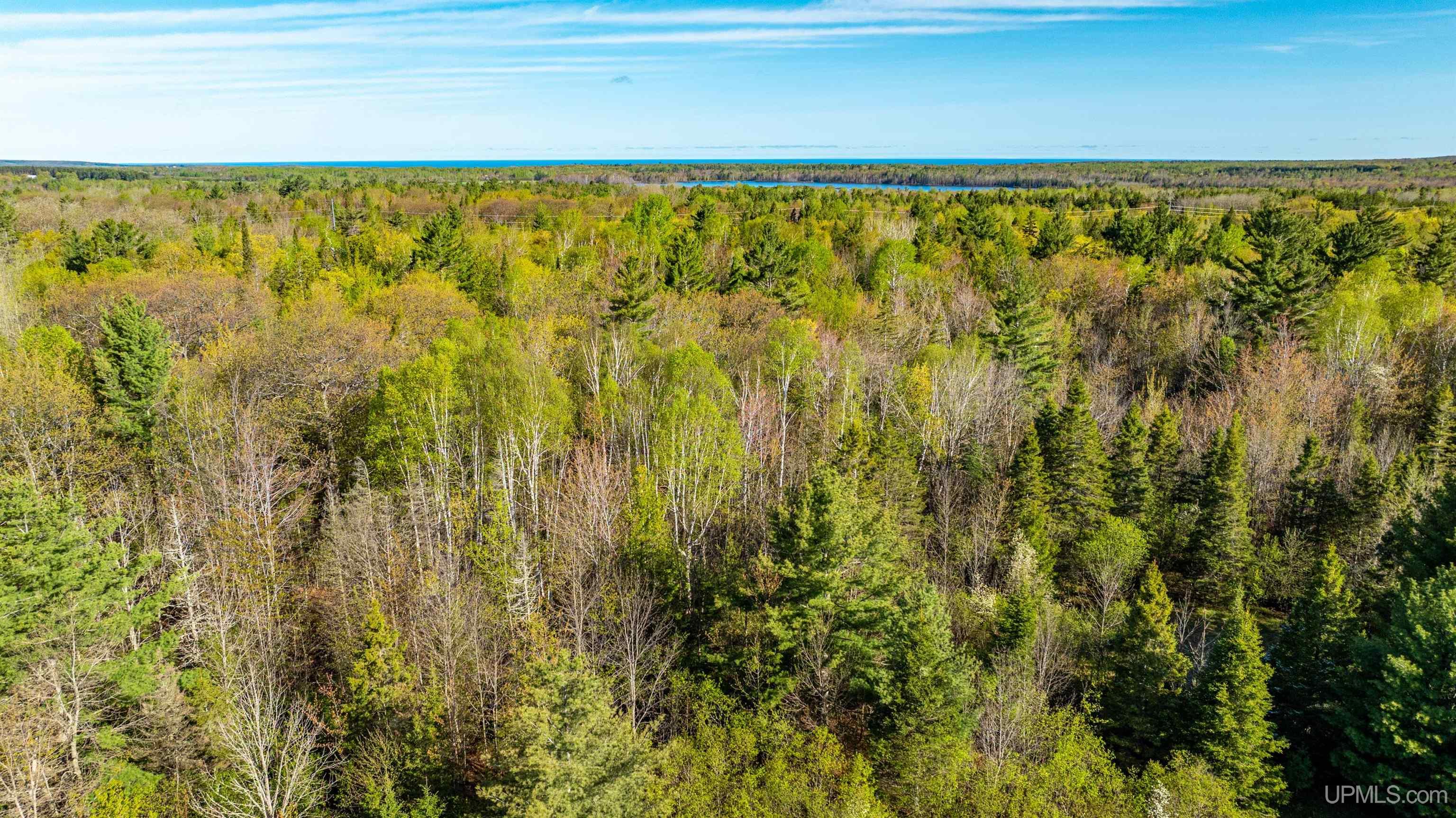 MLS 50172818 Large photo number 13 