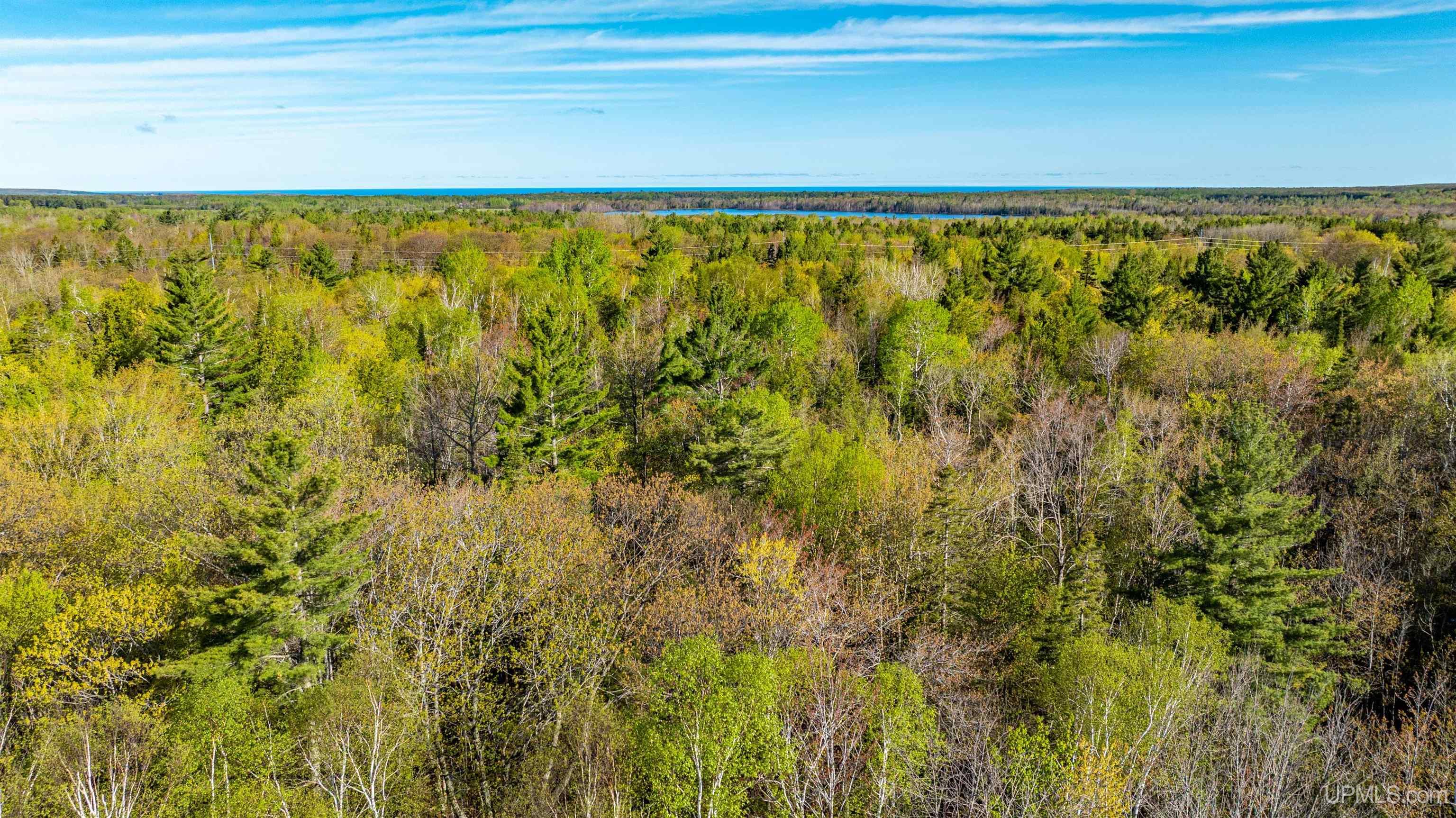 MLS 50172818 Large photo number 15 