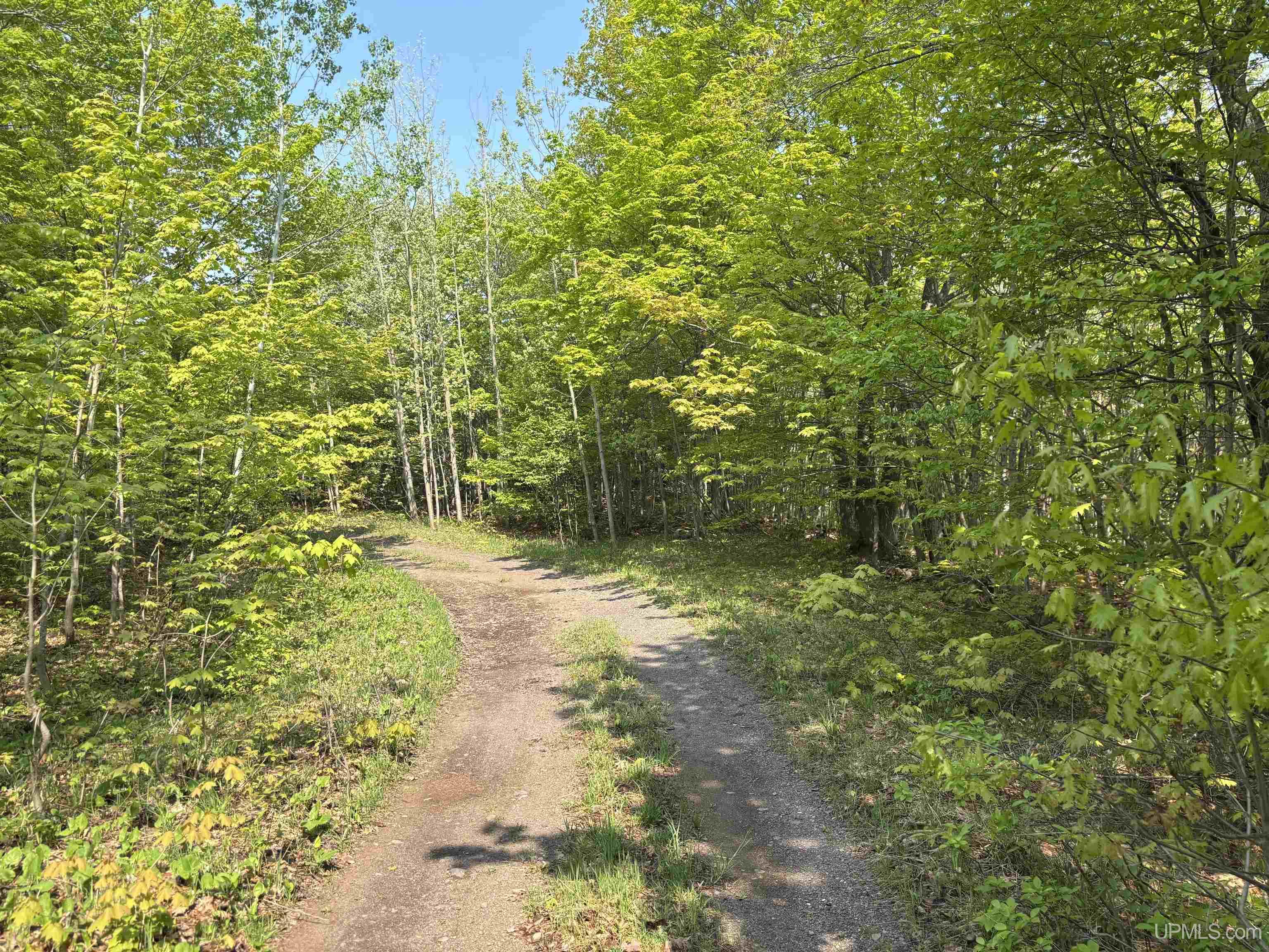 MLS 50172818 Large photo number 3 