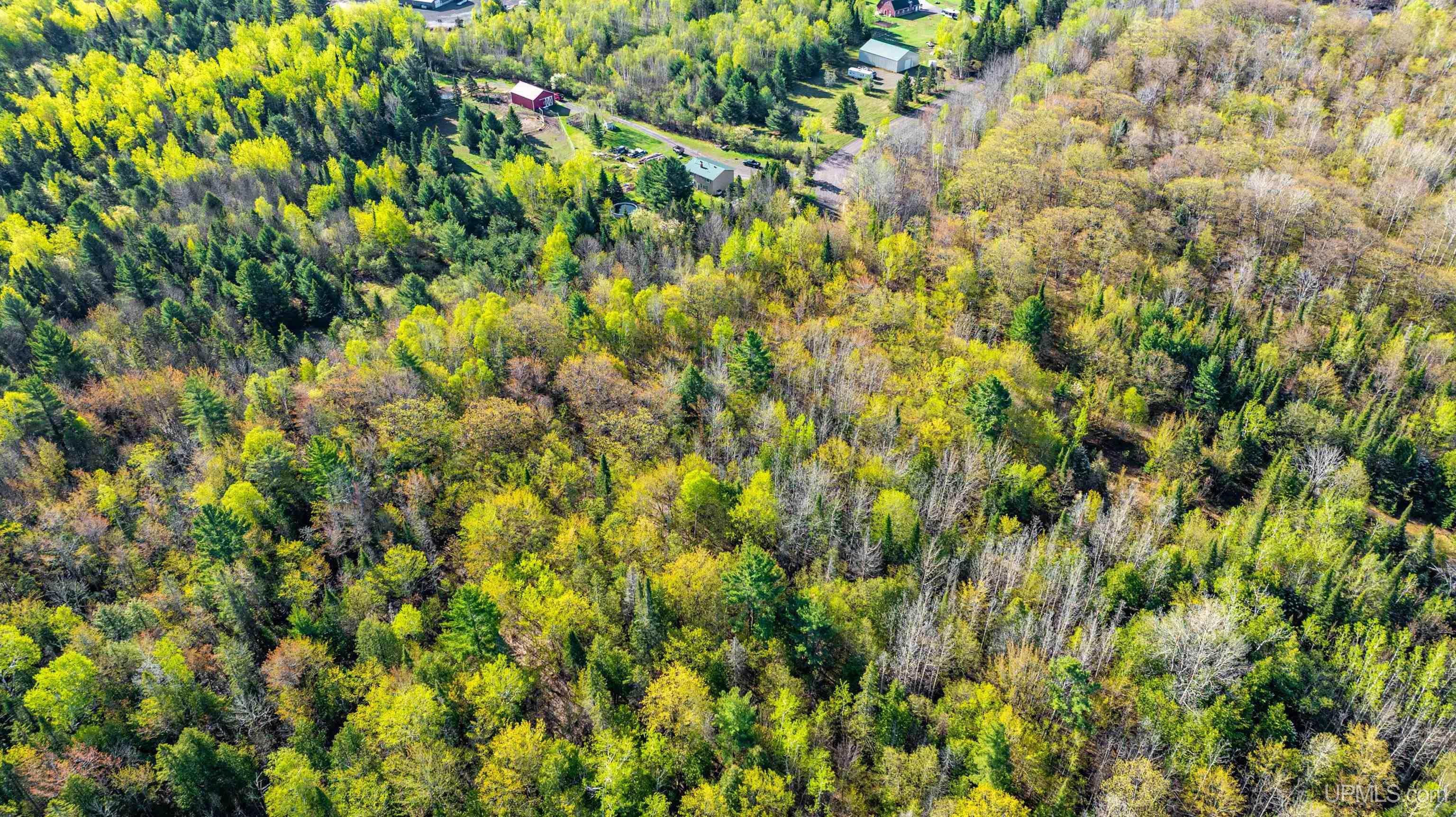 MLS 50172818 Large photo number 4 