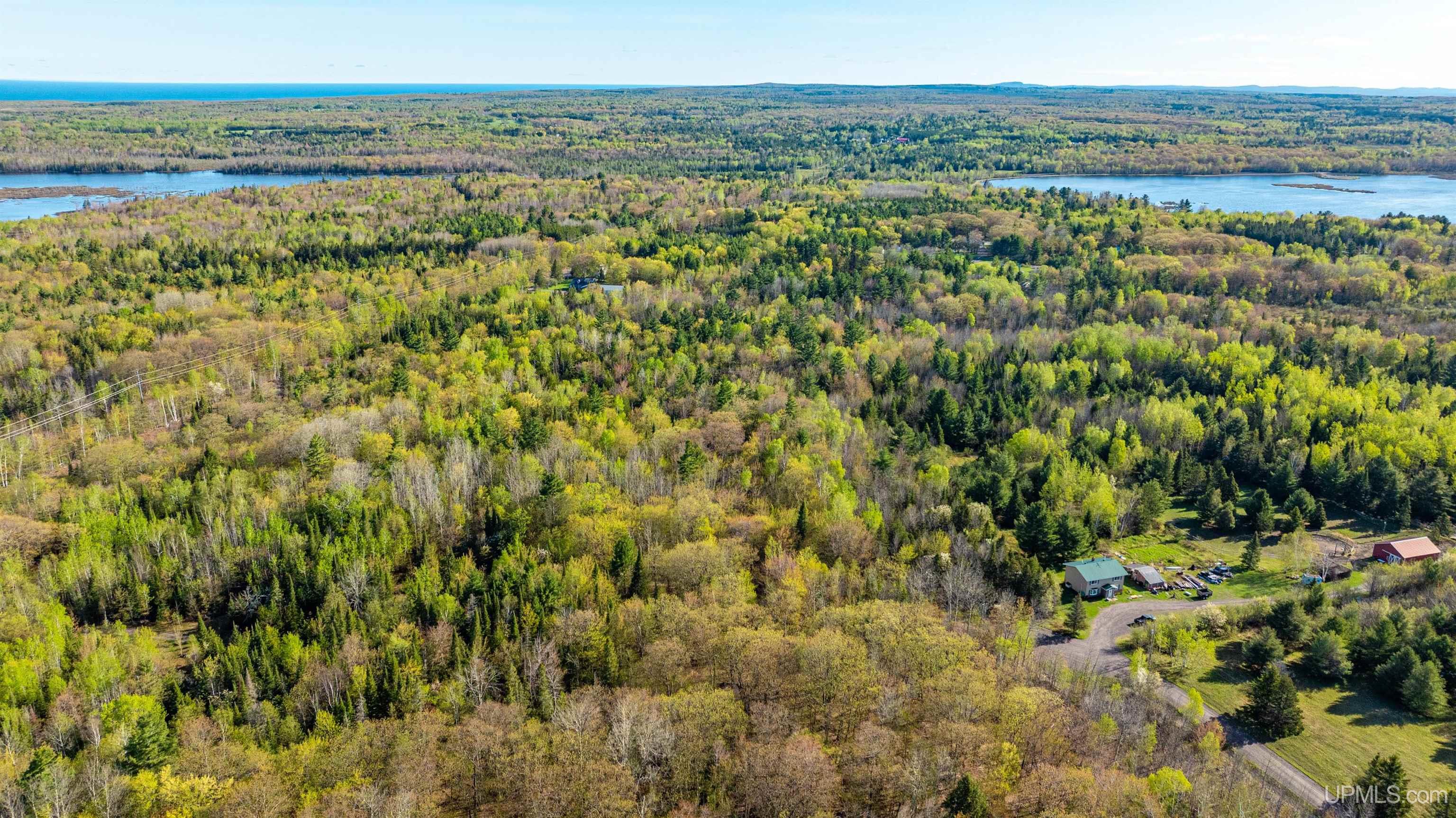 MLS 50172818 Large photo number 6 
