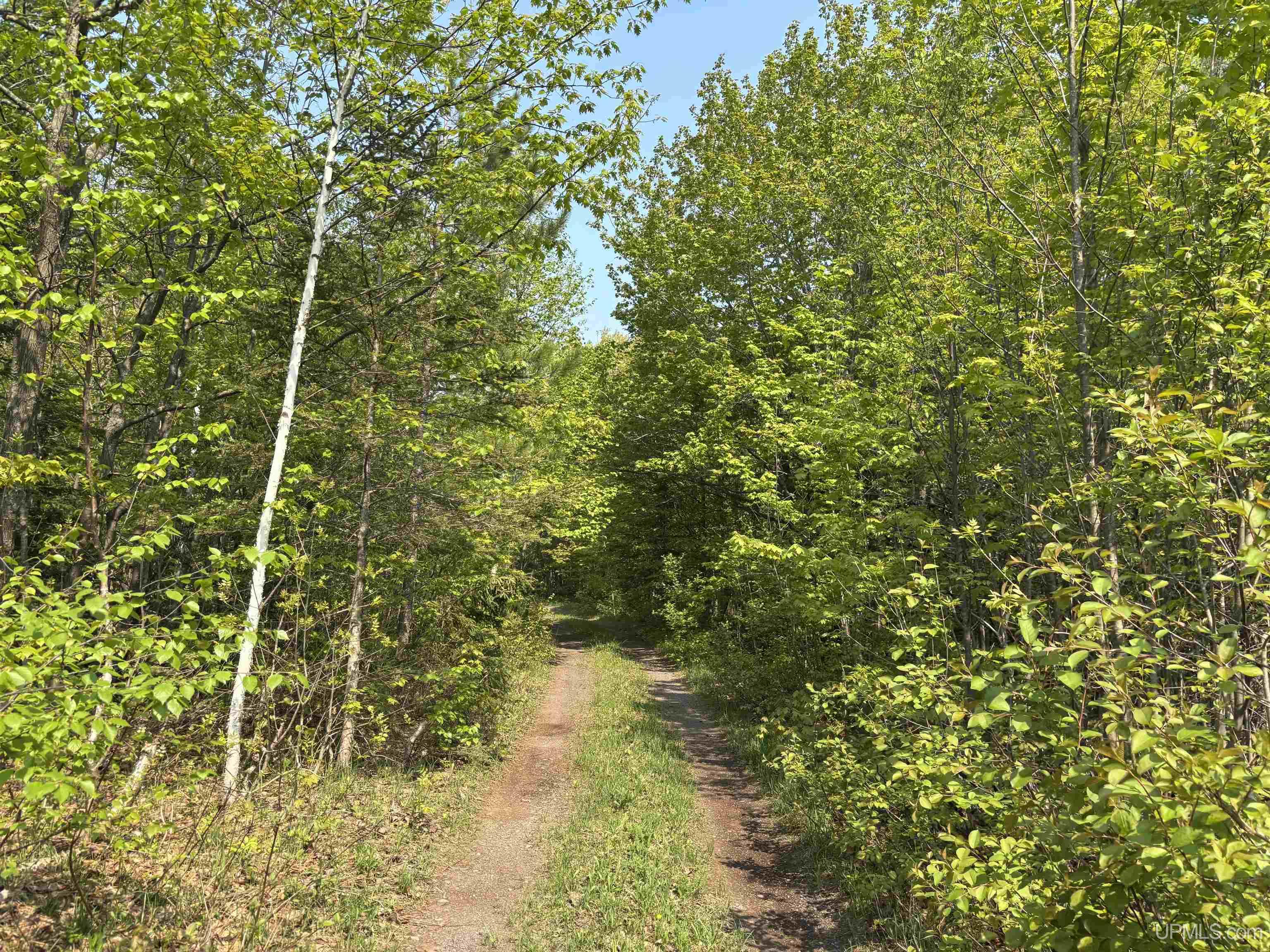 MLS 50172818 Large photo number 7 