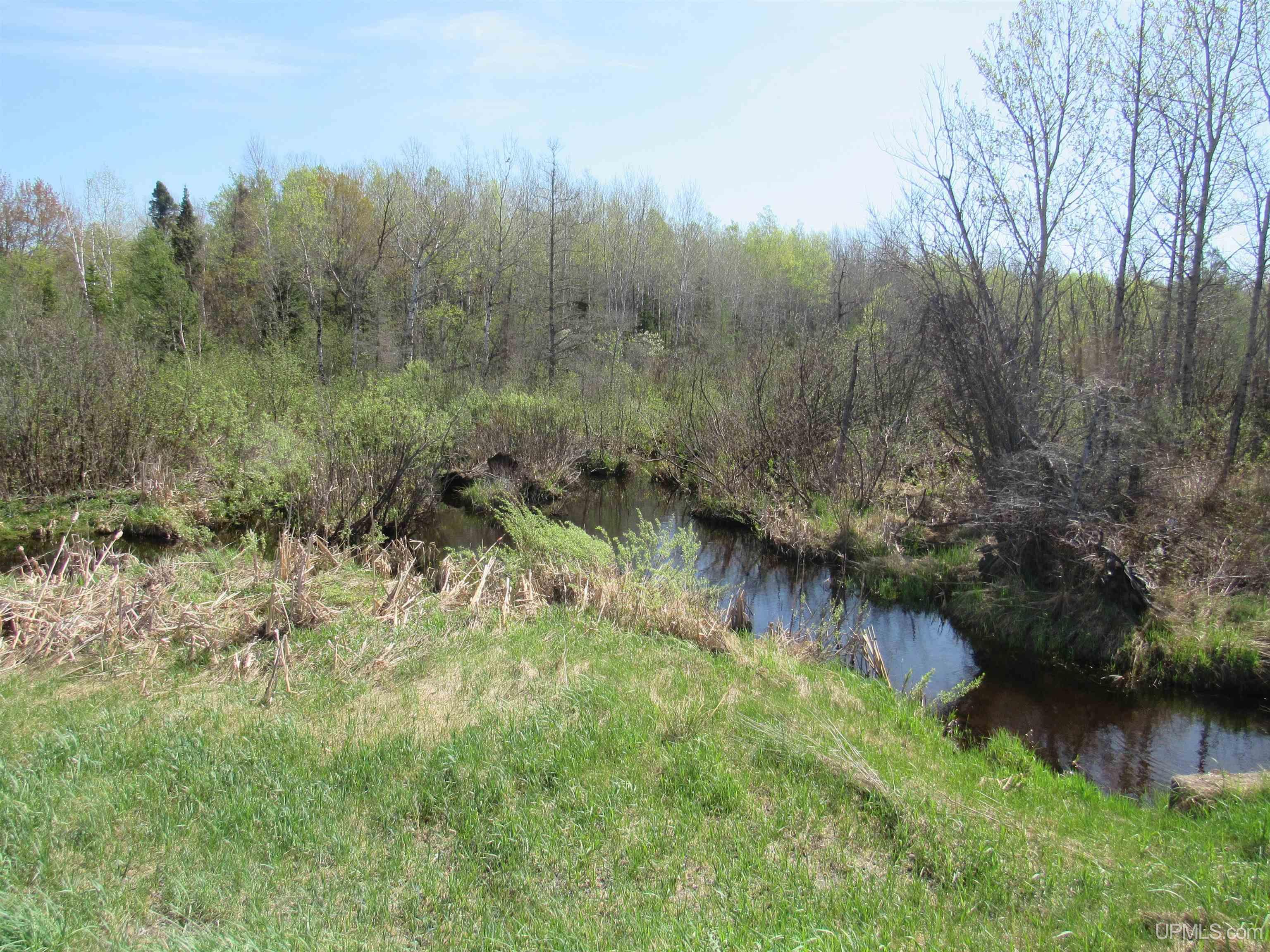 MLS 50175744 Large photo number 13 