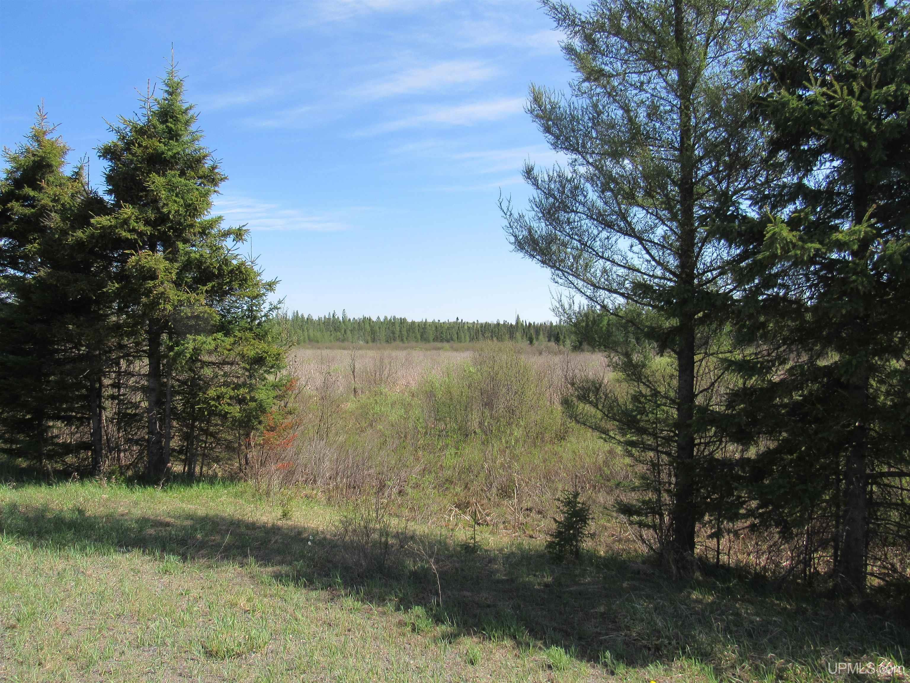 MLS 50175744 Large photo number 14 