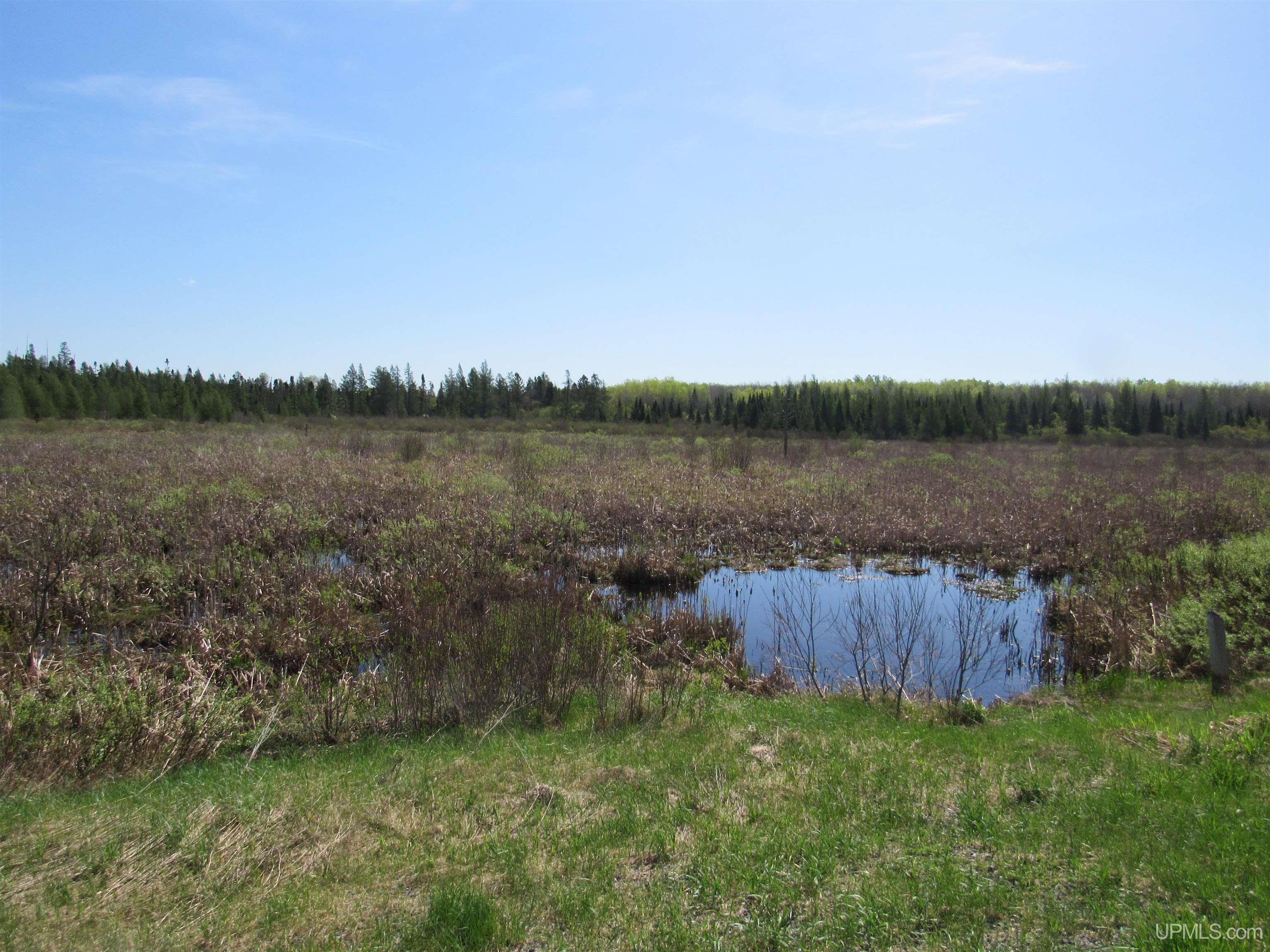 MLS 50175744 Large photo number 15 