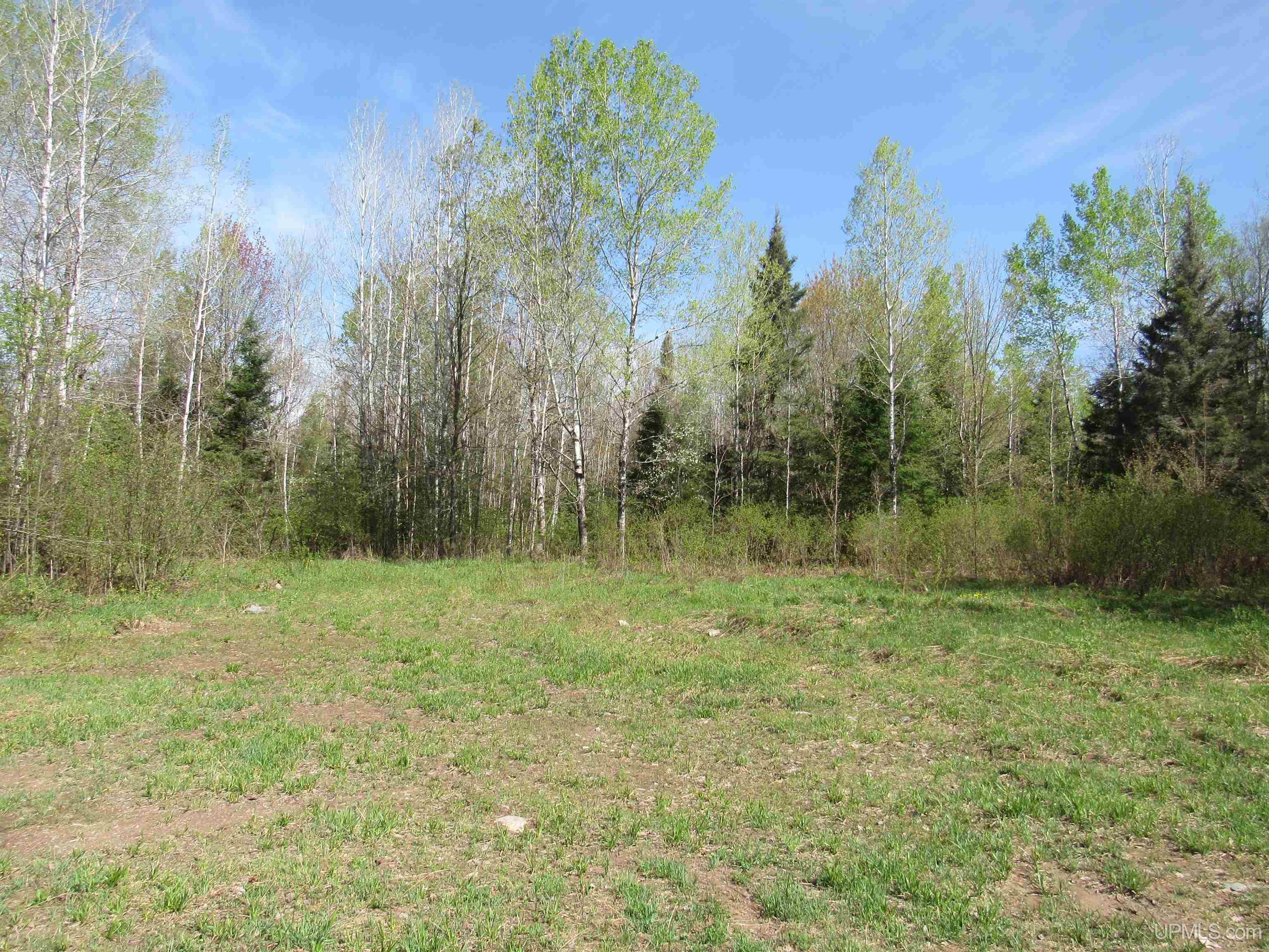 MLS 50175744 Large photo number 7 