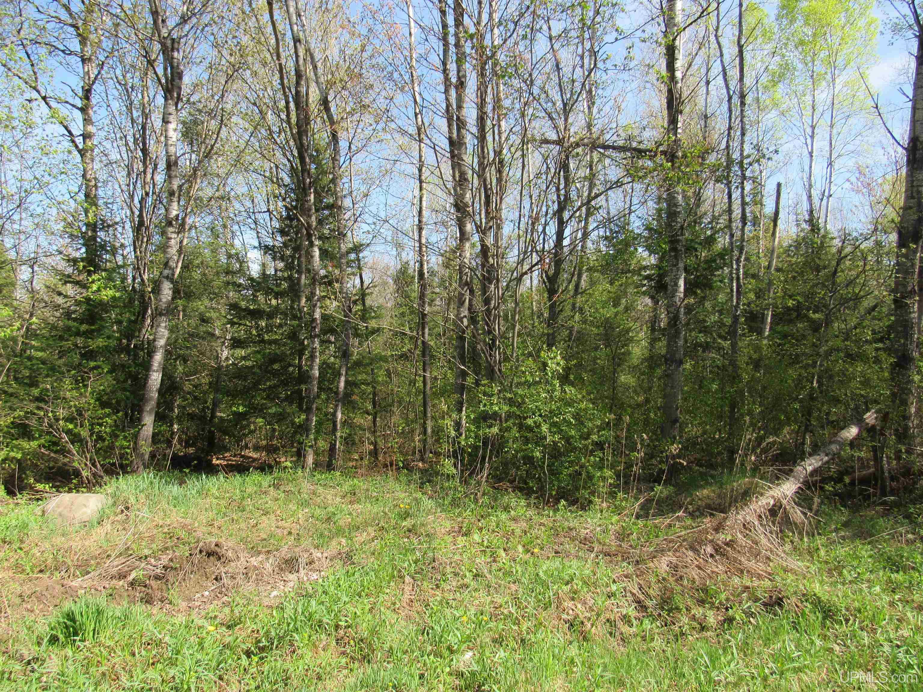 MLS 50175744 Large photo number 8 