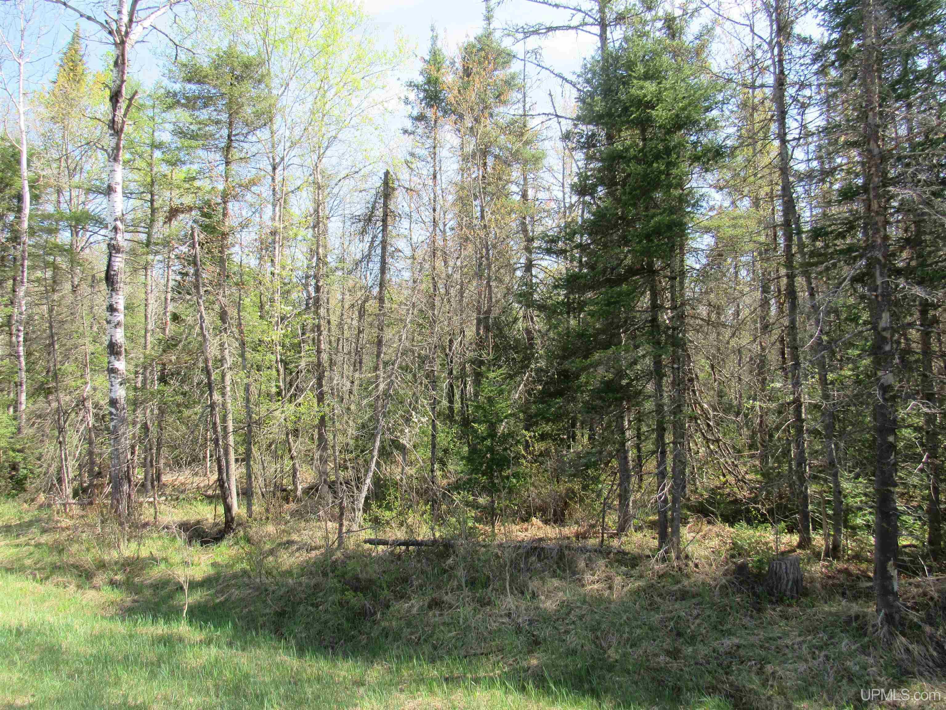 MLS 50175744 Large photo number 9 