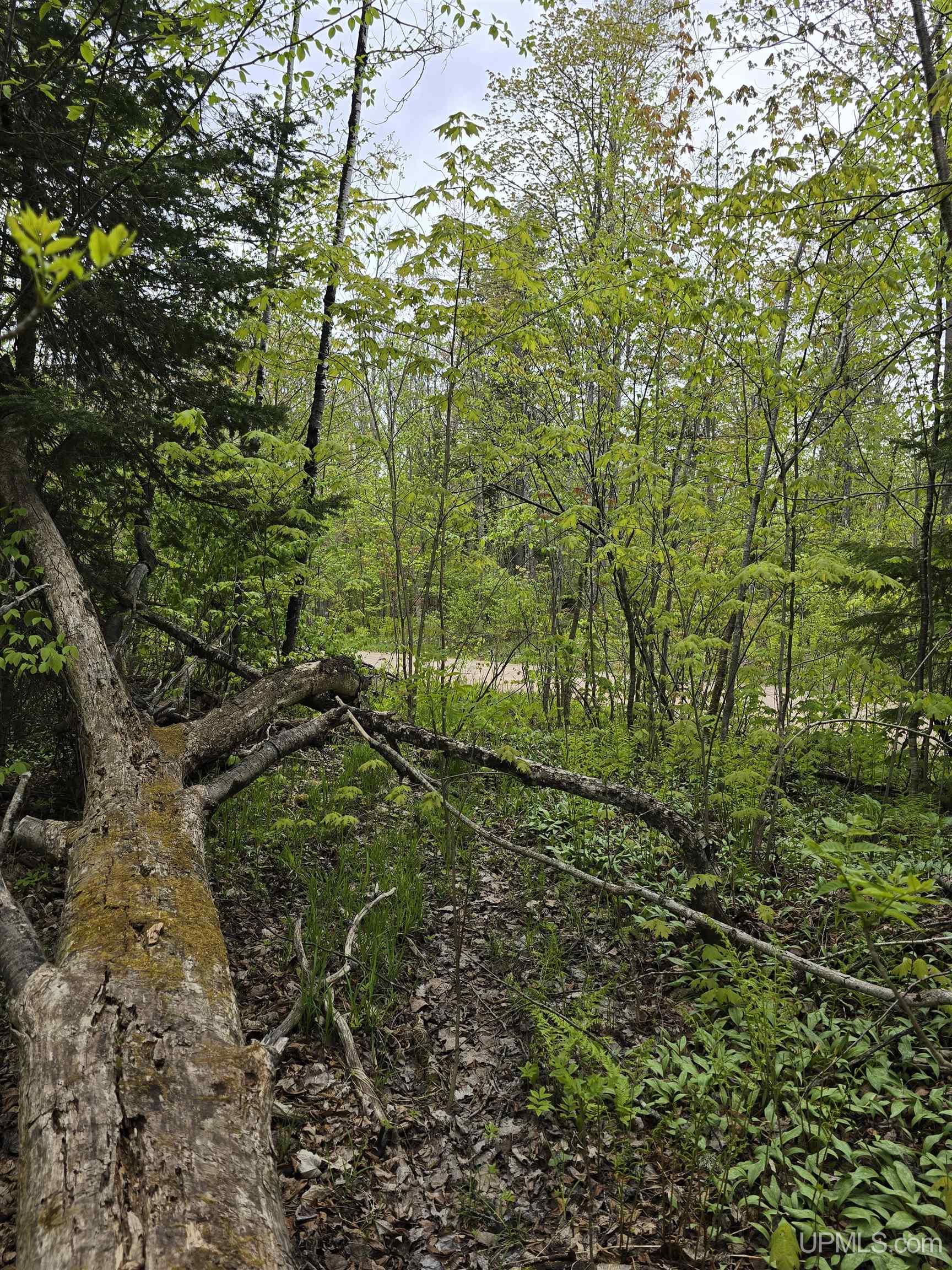 MLS 50176044 Large photo number 33 