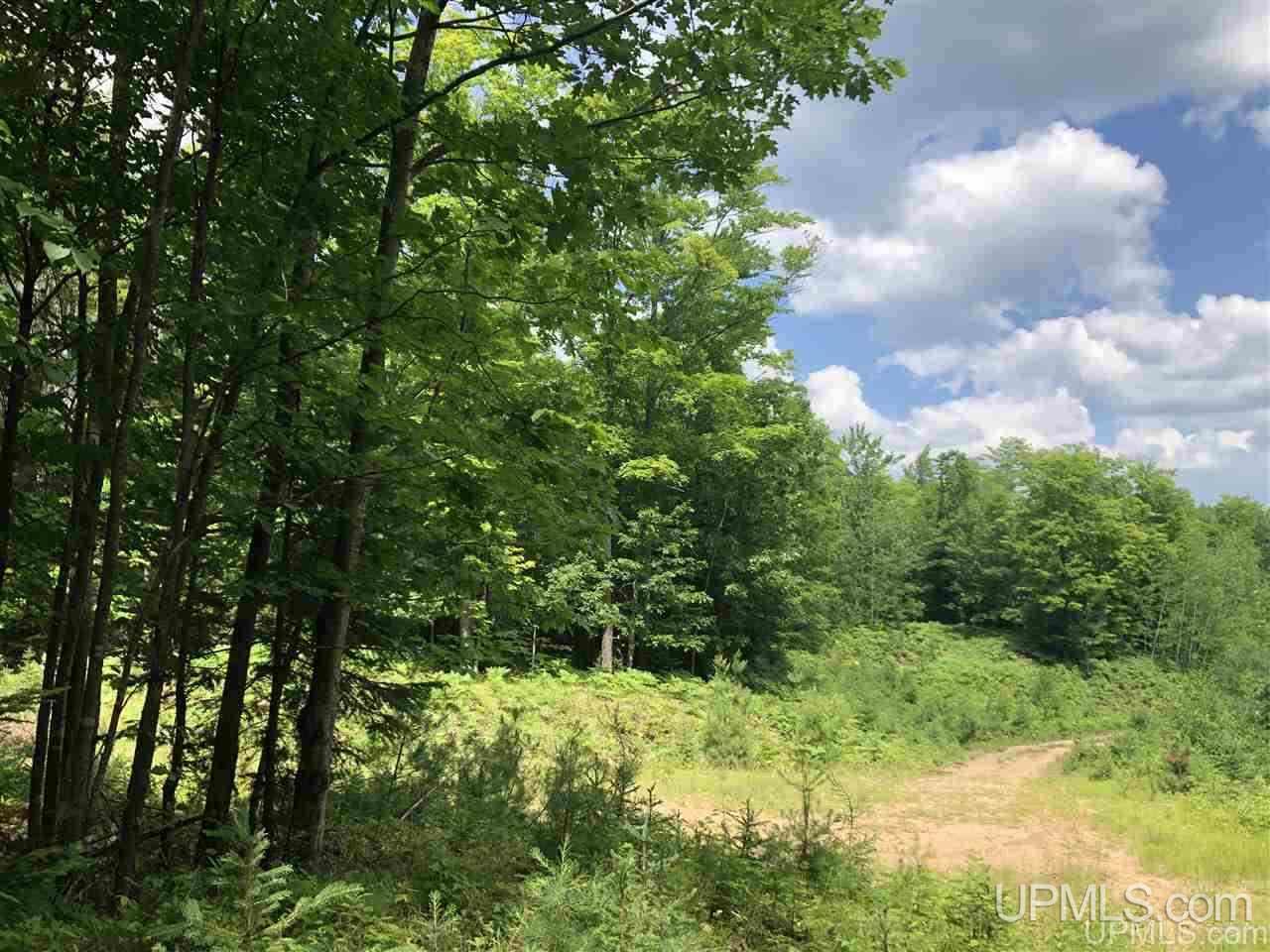Land Listing MLS Number 50177515
