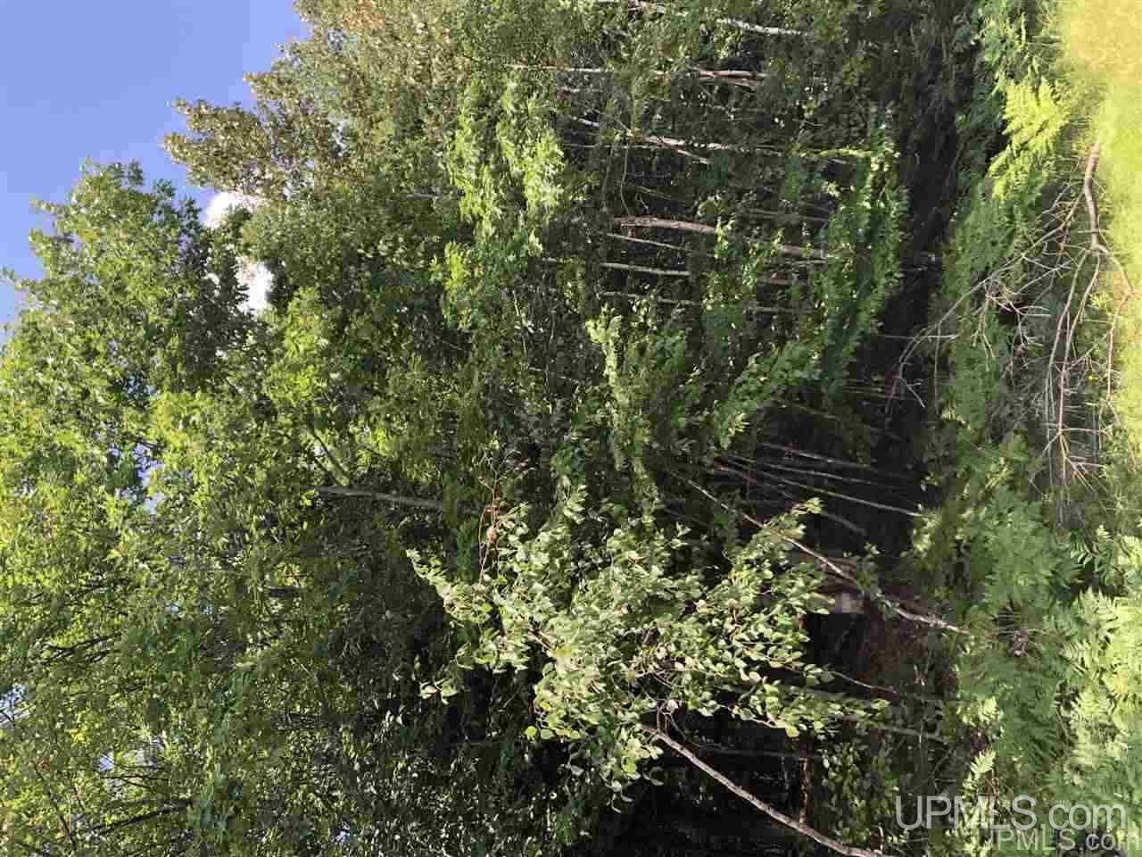MLS 50177515 Large photo number 2 