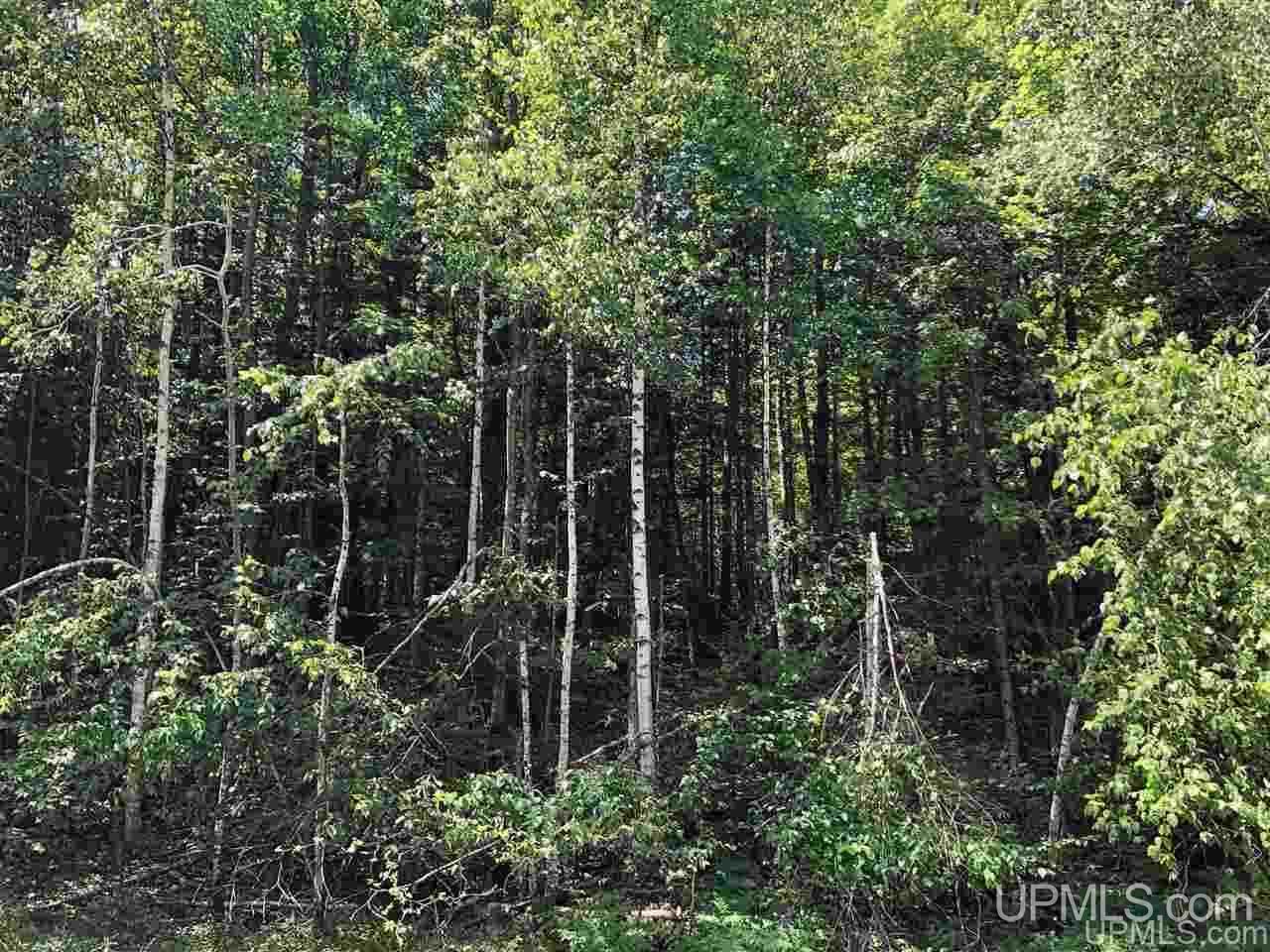 MLS 50177515 Large photo number 3 
