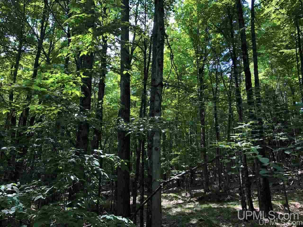MLS 50177515 Large photo number 5 