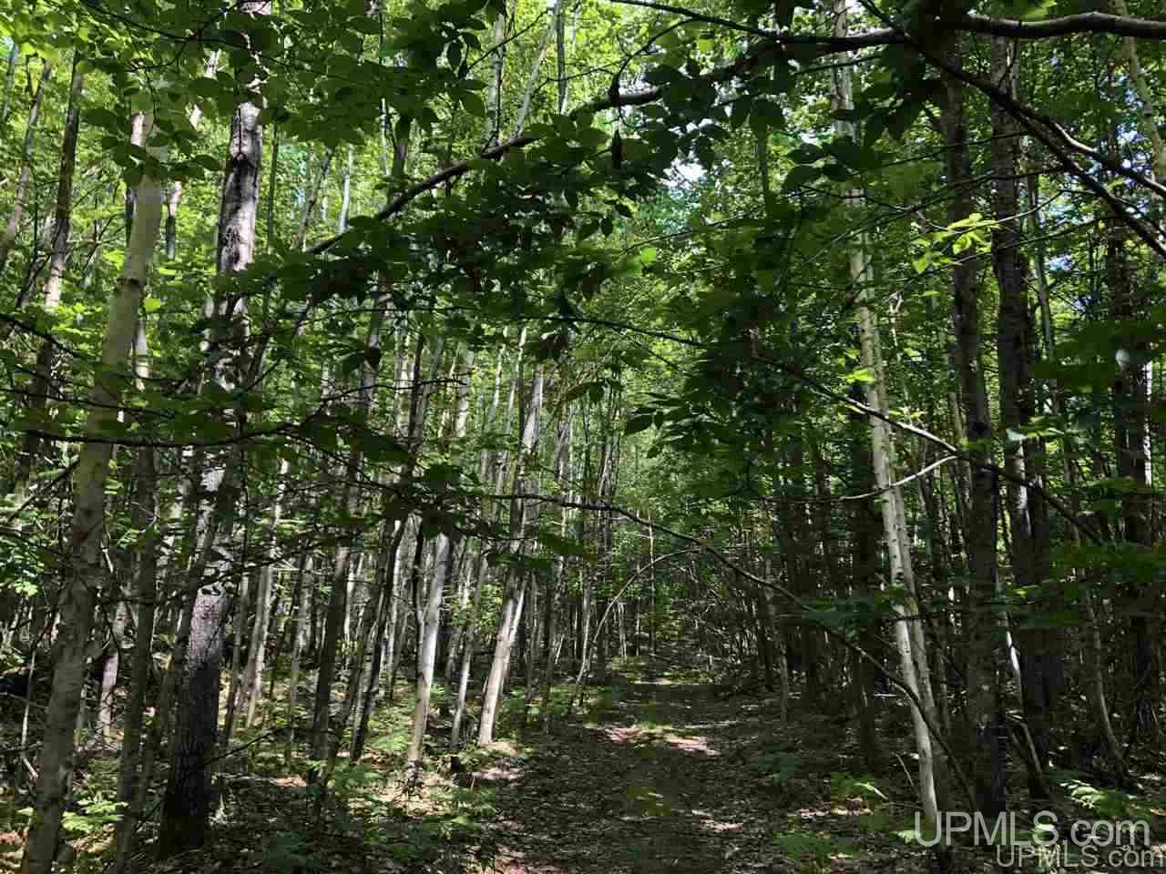 MLS 50177515 Large photo number 6 