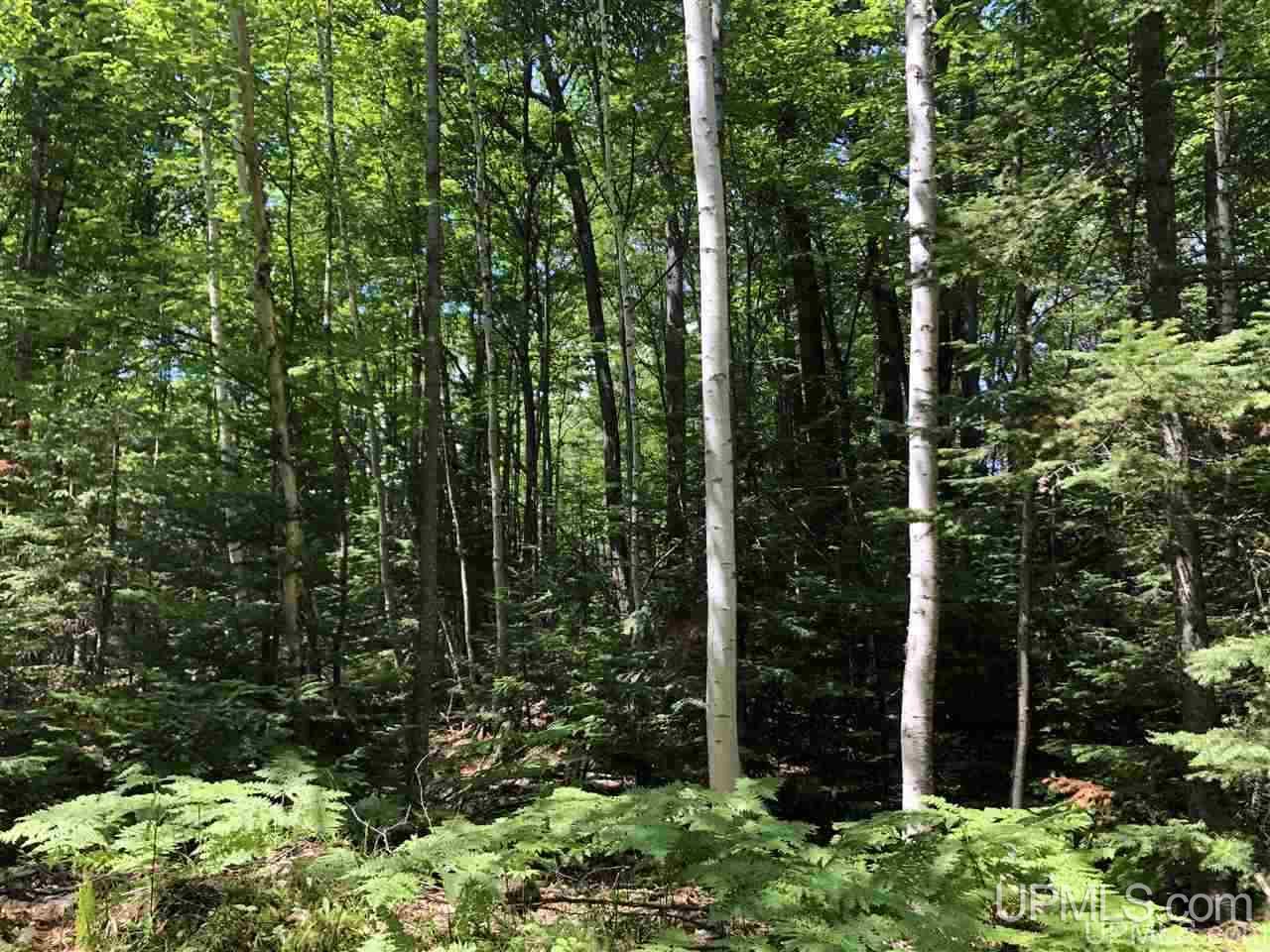 MLS 50177515 Large photo number 8 