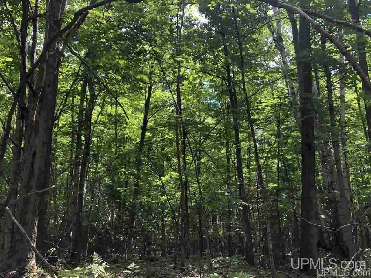 MLS 50177515 Large photo number 9 