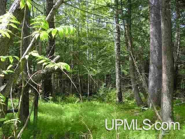 MLS 50178781 Large photo number 4 