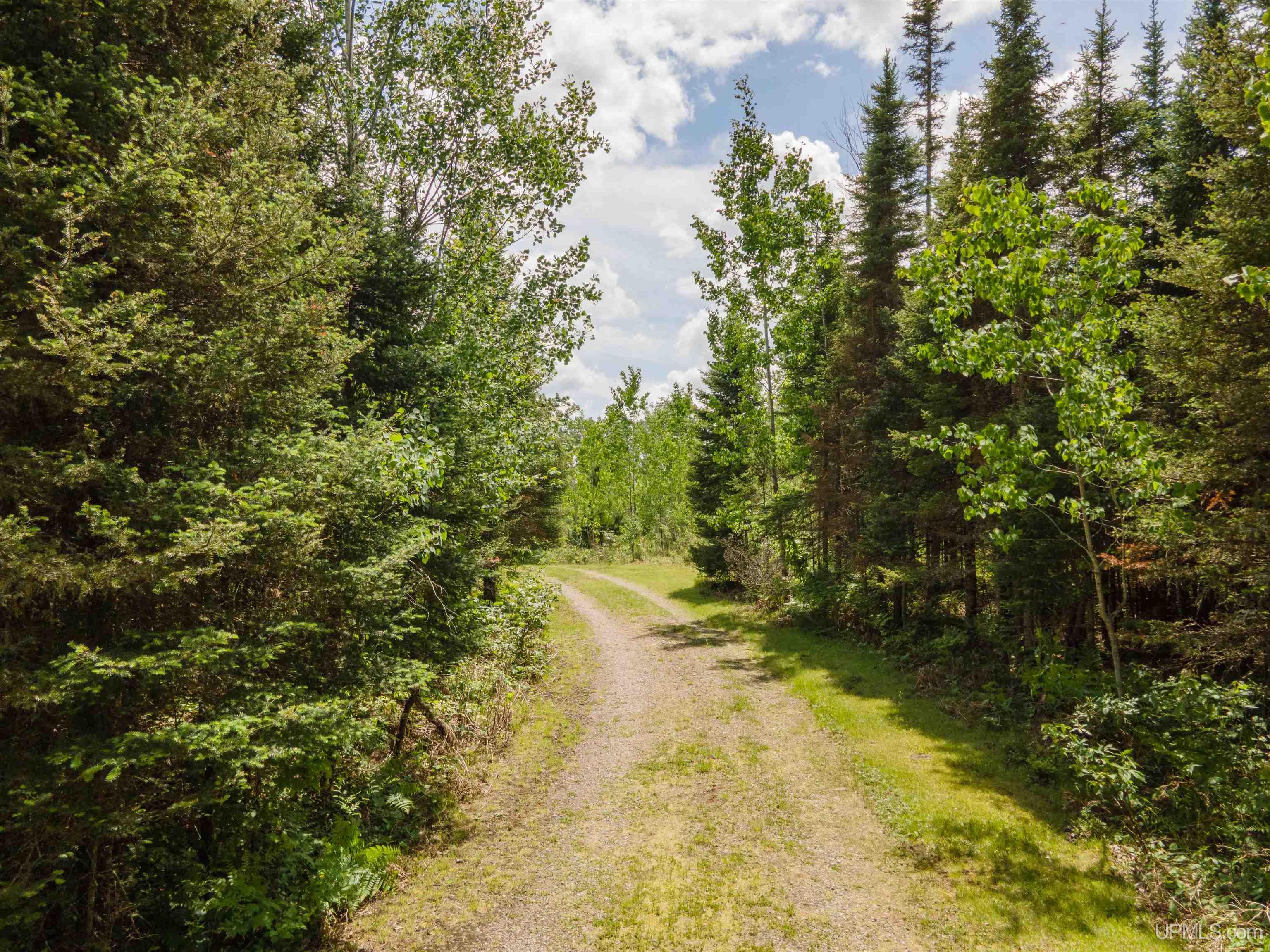 MLS 50179423 Large photo number 17 