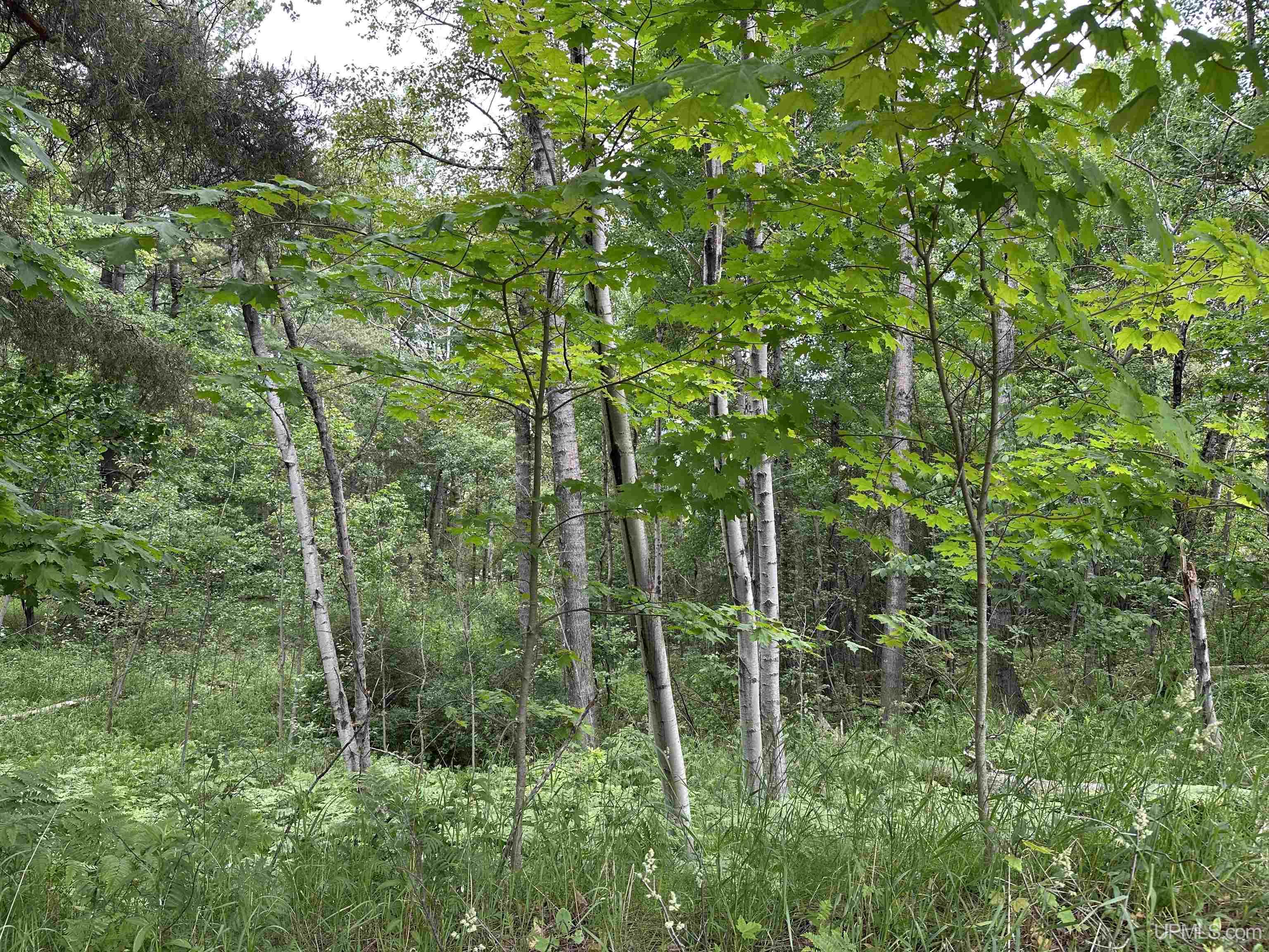 4th image of 713 Grove St, Marquette, MI 49855 | MLS# 50179646